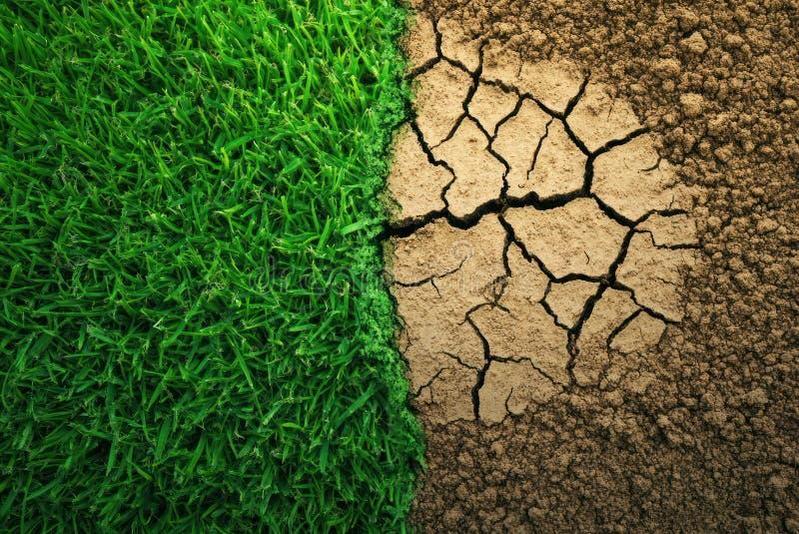 Sudden trading freezes can inadvertently trap capital and cause liquidity to dry up across adjacent markets.