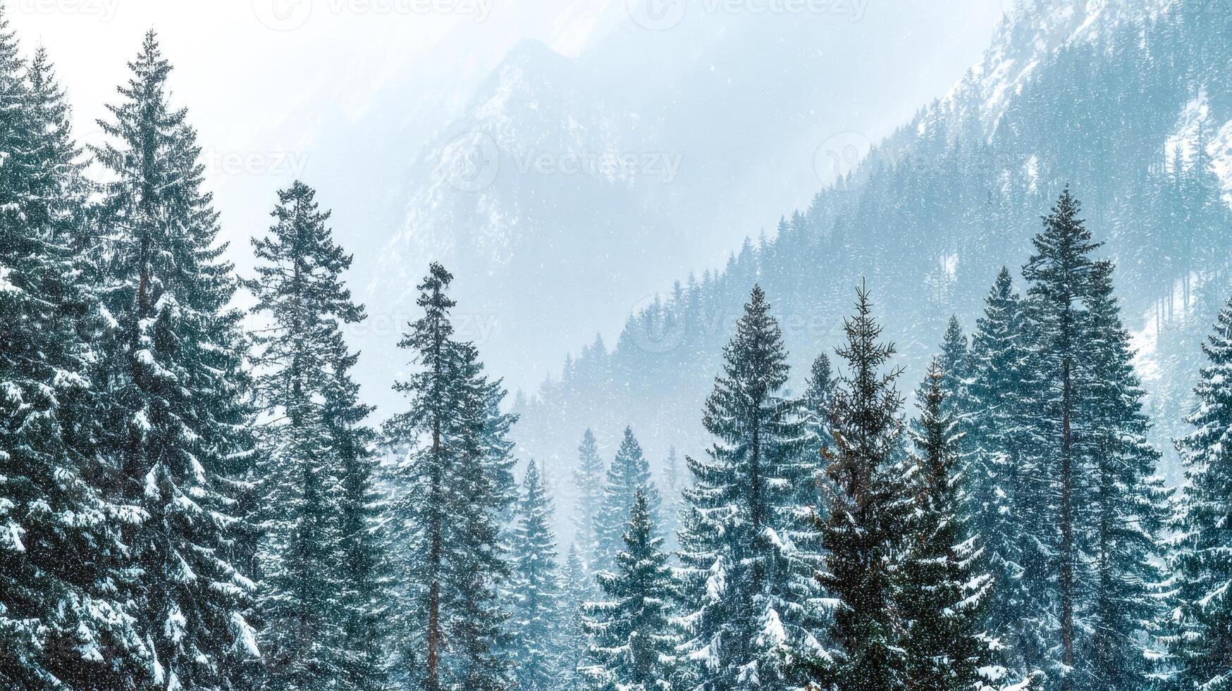 The enduring calm of the northern forest mirrors her lasting legacy in modern fantasy lore.