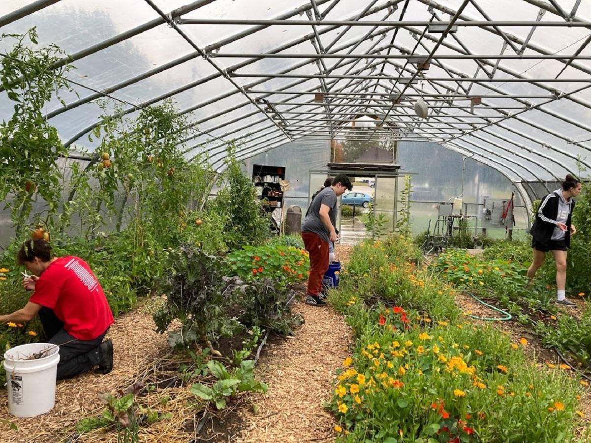 Through initiatives like the Davidson College Farm, the campus community actively practices environmental sustainability.