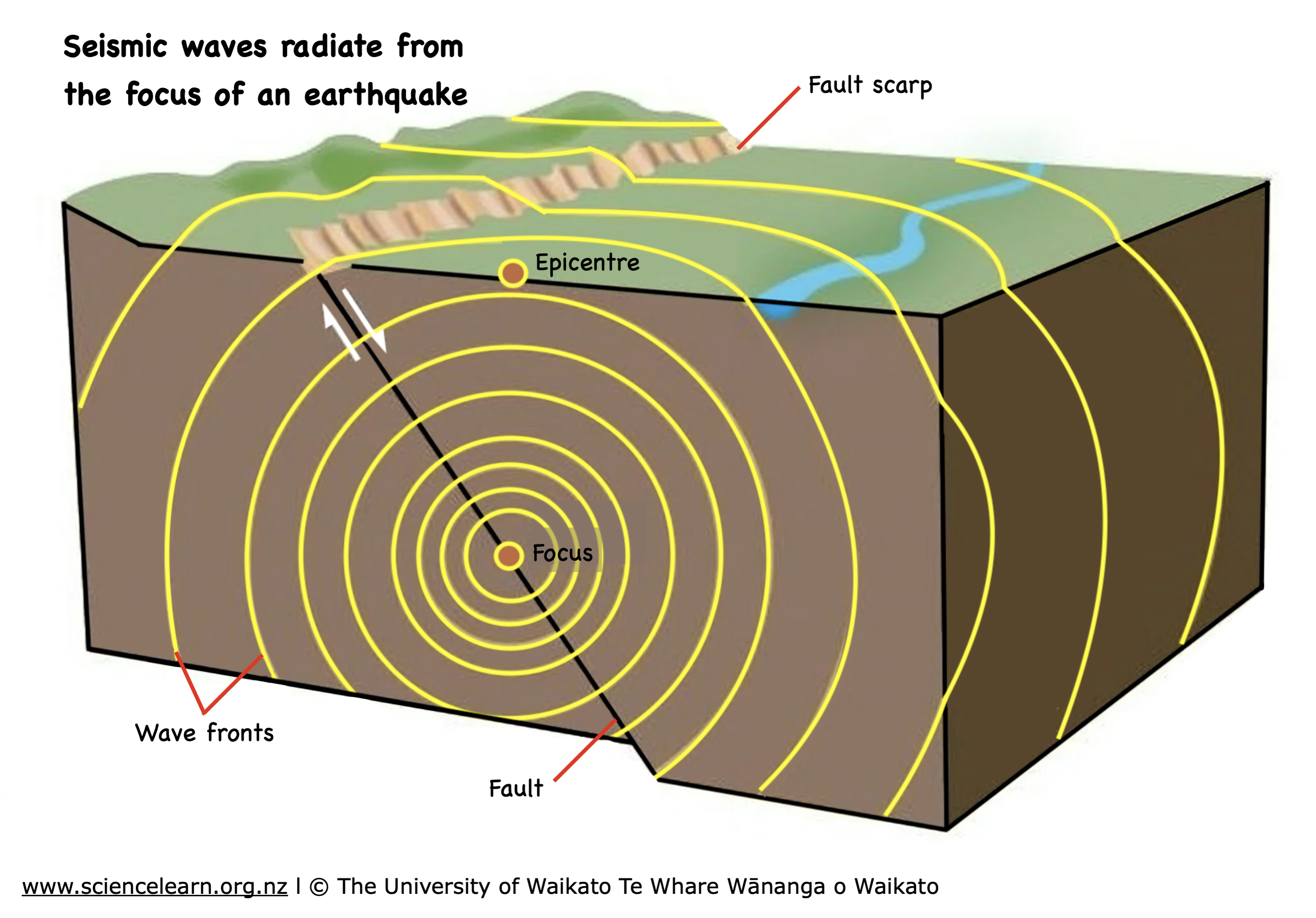Seismic waves radiate outward from the hypocenter, causing ground motion on the surface.