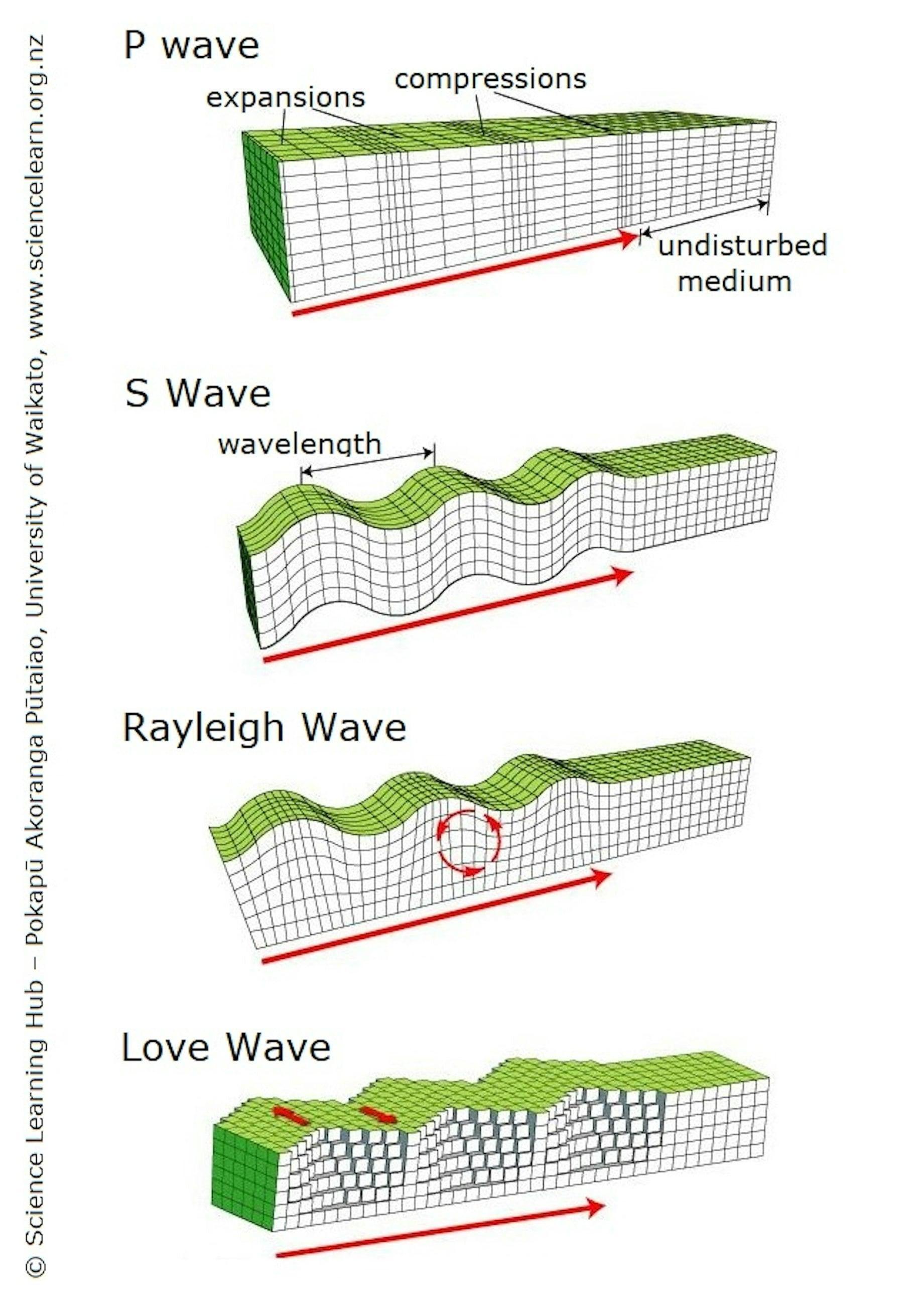 Different types of seismic waves travel through the Earth's layers with distinct motion characteristics.