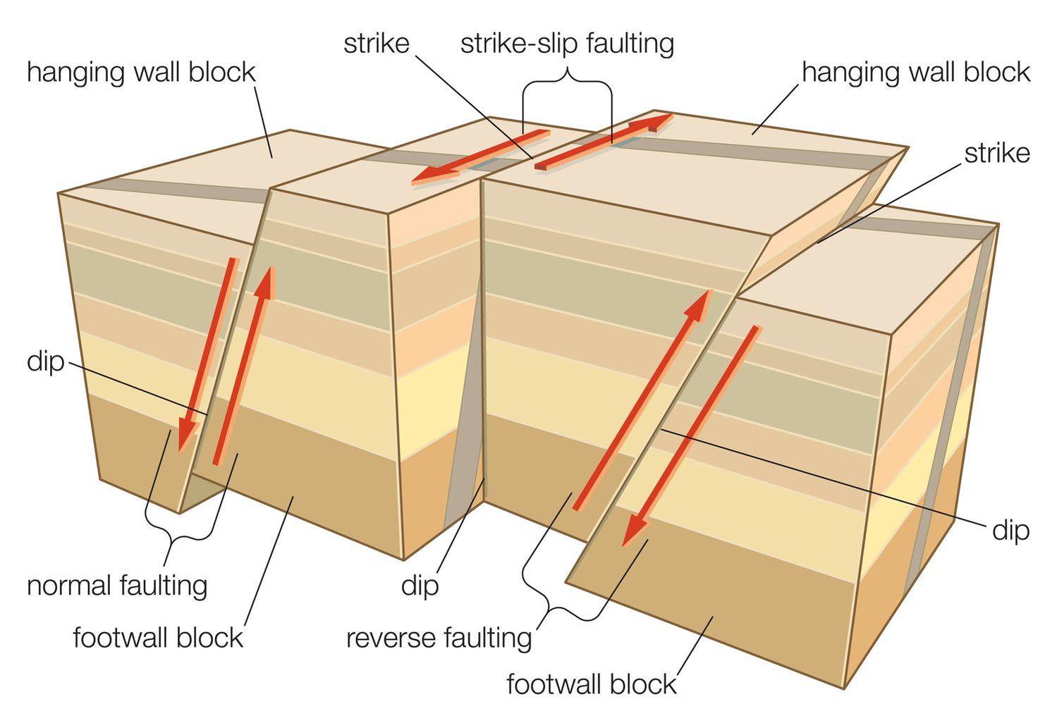 Tectonic stresses shape different fault types, defining how rock masses shift during a rupture.