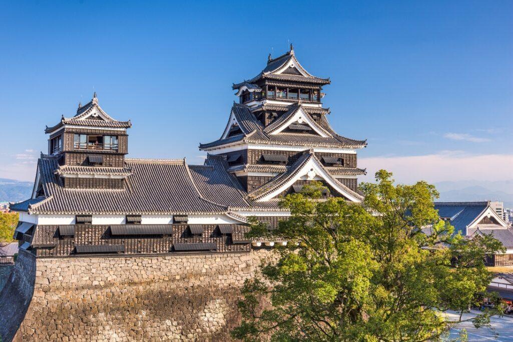 Hashimoto was born and raised in Kumamoto Prefecture, a place that shaped her early years.