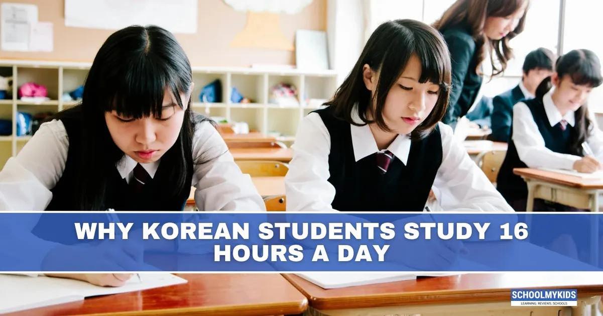 The relatable struggles of academic life in South Korea formed a core theme of Jin Ja-rim's early streams.