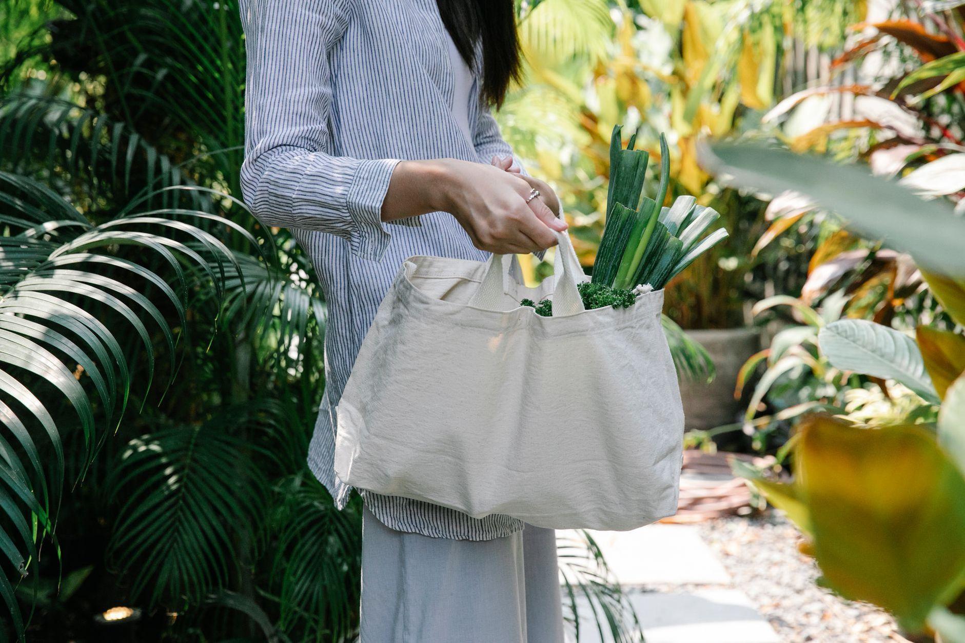 General visual reference for Commitment to Sustainability and ESG. Source: Pexels / Photo by Sarah Chai / Pexels License / https://www.pexels.com/photo/crop-unrecognizable-woman-carrying-eco-bag-with-fresh-vegetables-in-garden-7262870/