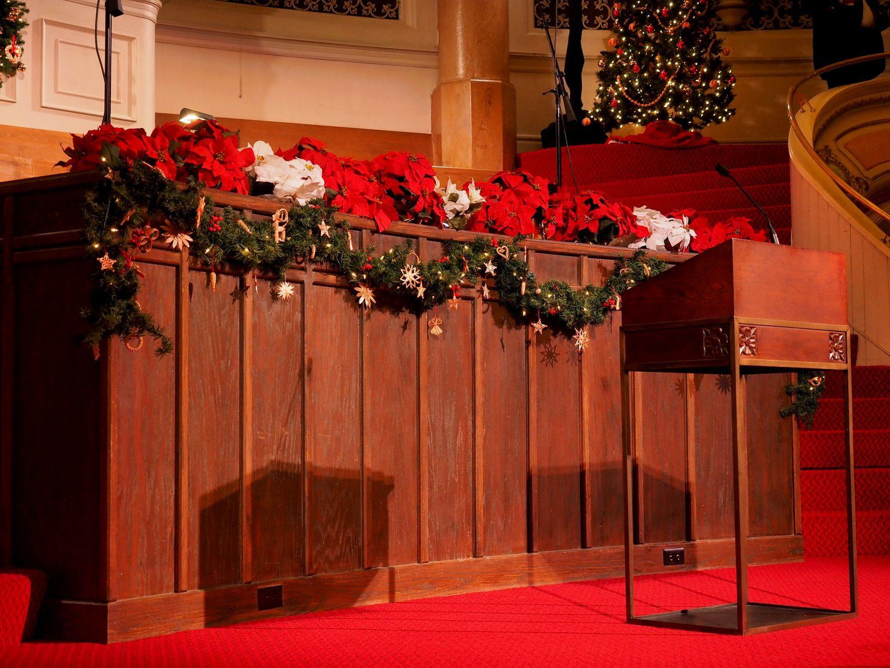 General visual reference for UNICEF Goodwill Ambassador and Global Advocacy. Source: Pexels / Photo by Blue Ox Studio / Pexels License / https://www.pexels.com/photo/red-poinsettias-on-red-textile-730589/