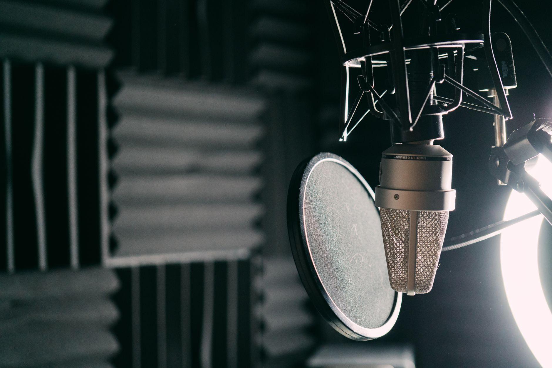 General visual reference for Commercial and Narration Engagements. Source: Pexels / Photo by Jessica Lewis 🦋 thepaintedsquare / Pexels License / https://www.pexels.com/photo/gray-and-black-condenser-microphone-10854607/
