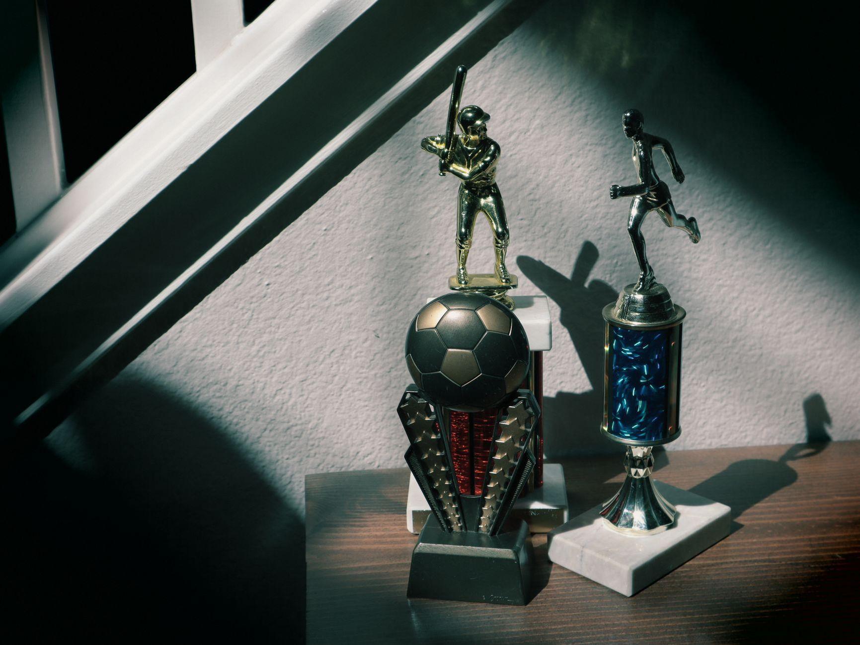 General visual reference for Professional Accolades and Recognition. Source: Pexels / Photo by Squish Law / Pexels License / https://www.pexels.com/photo/trophies-for-soccer-and-baseball-on-display-32711485/
