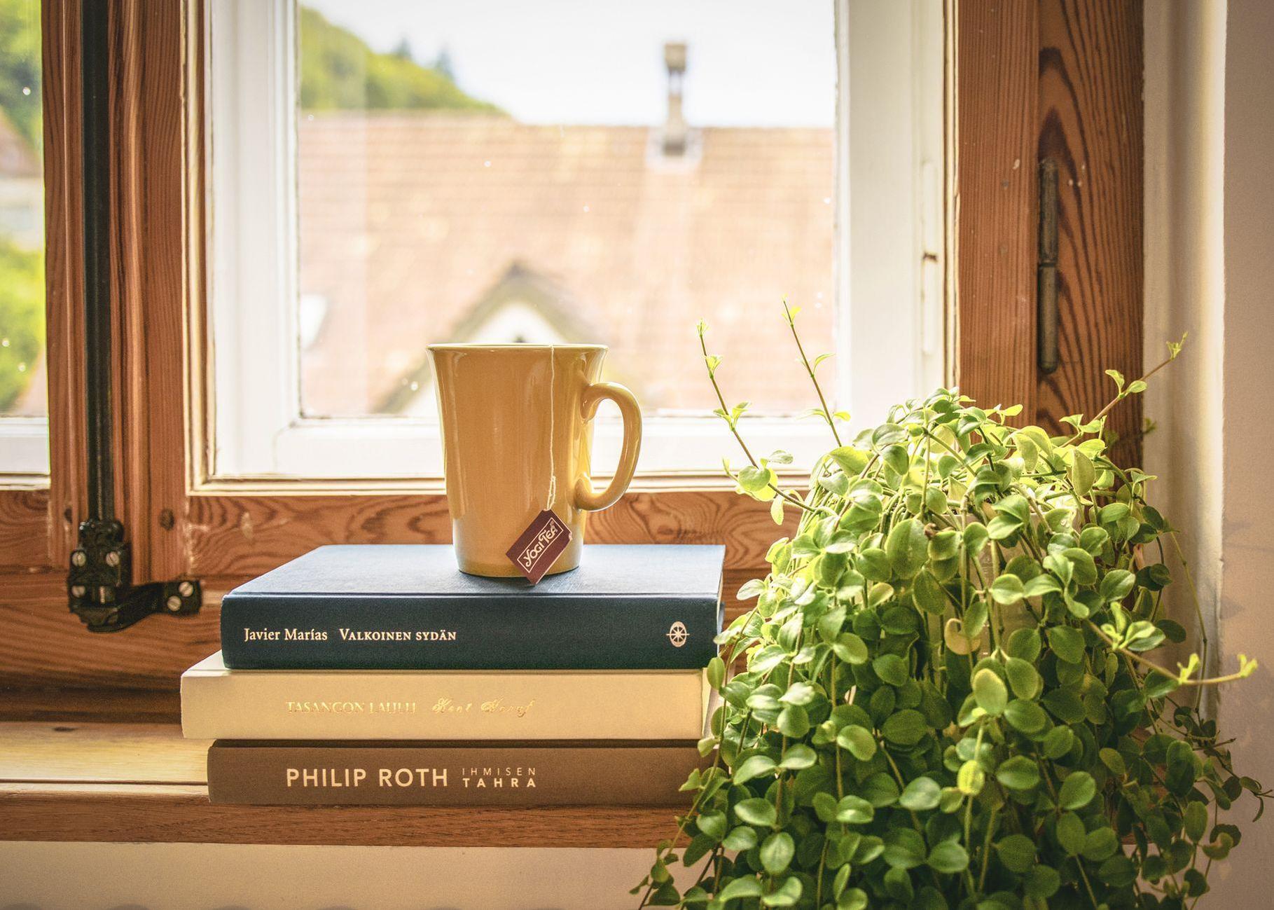 General visual reference for Resilience and Openness with the Public. Source: Pexels / Photo by Lum3n / Pexels License / https://www.pexels.com/photo/green-leafed-plant-beside-books-and-mug-309724/