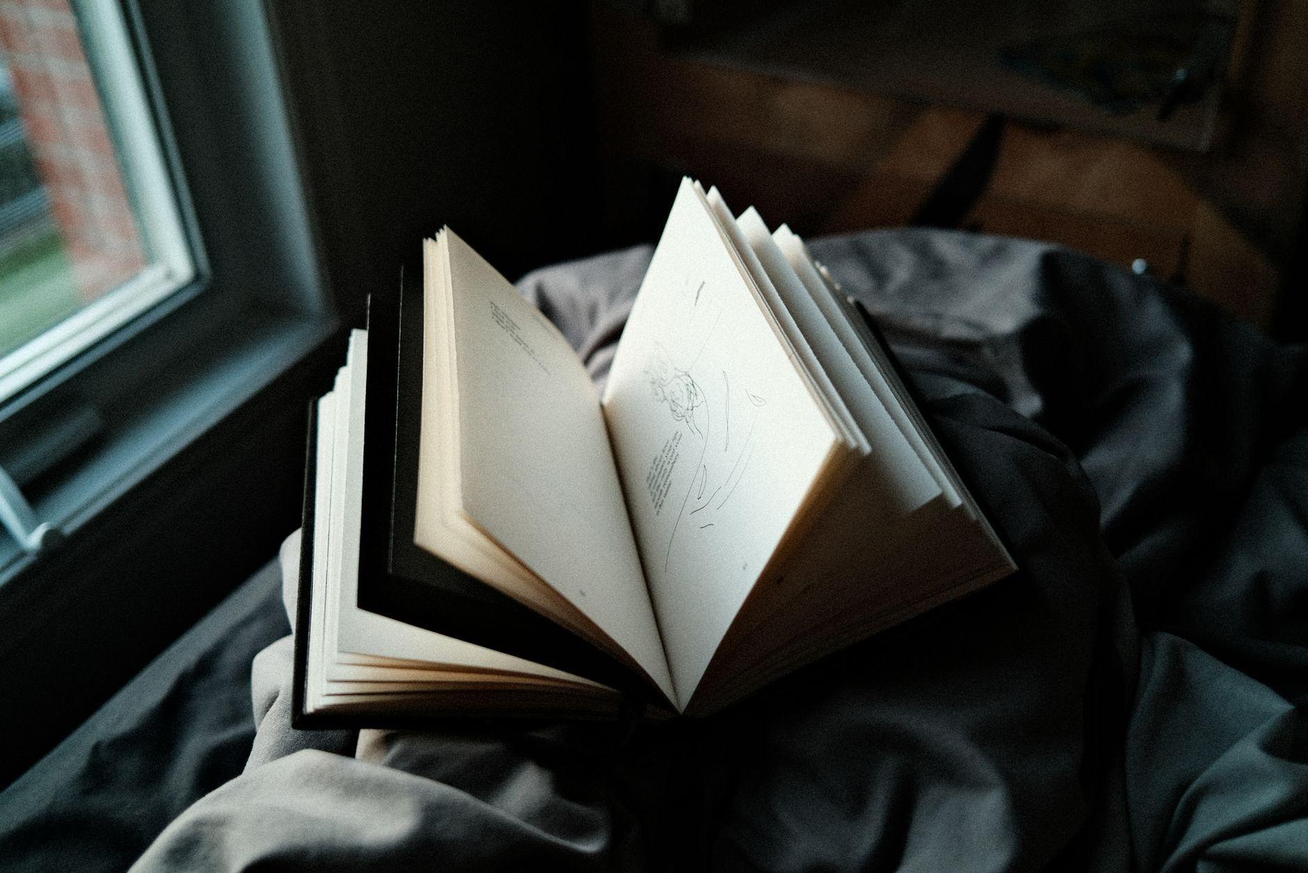 General visual reference for The Artistic Philosophy of Voice Acting. Source: Pexels / Photo by William Choquette / Pexels License / https://www.pexels.com/photo/black-and-white-pages-of-a-book-7879388/