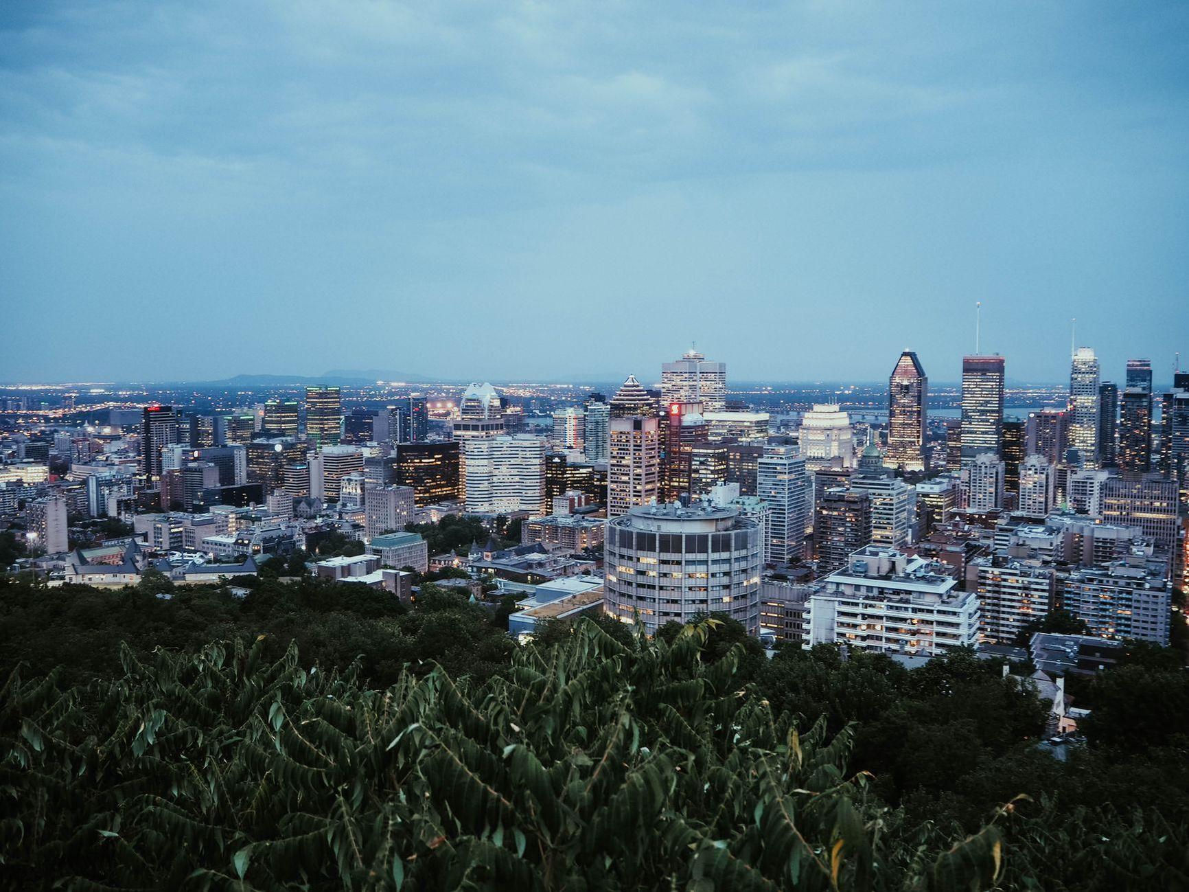 General visual reference for Early Life and Dual Citizenship. Source: Pexels / Photo by Céline Chamiot-Poncet / Pexels License / https://www.pexels.com/photo/aerial-view-of-buildings-2889701/