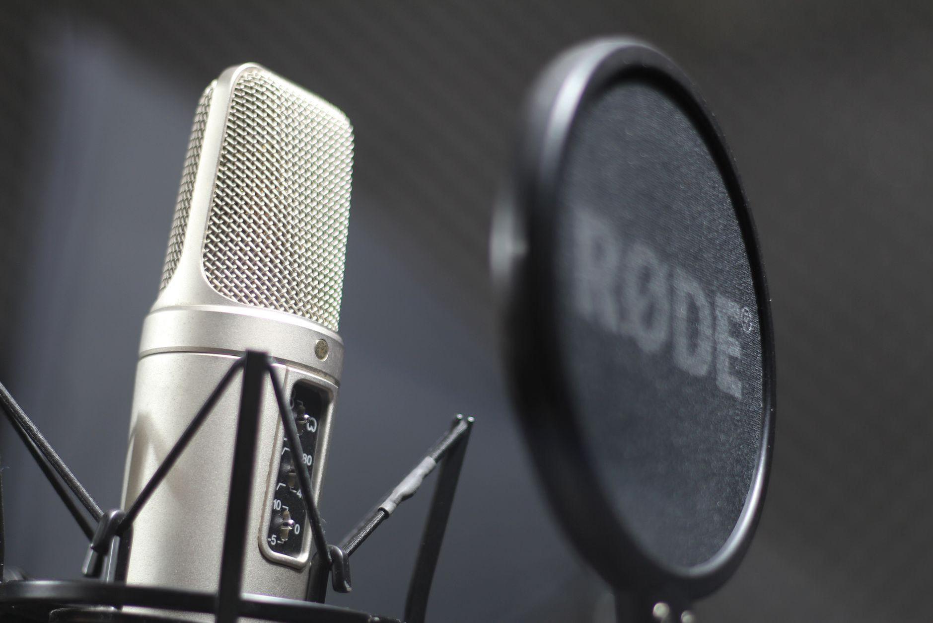 General visual reference for Introduction to a Vocal Icon. Source: Pexels / Photo by Jonathan Cubillo / Pexels License / https://www.pexels.com/photo/close-up-of-microphone-16235687/