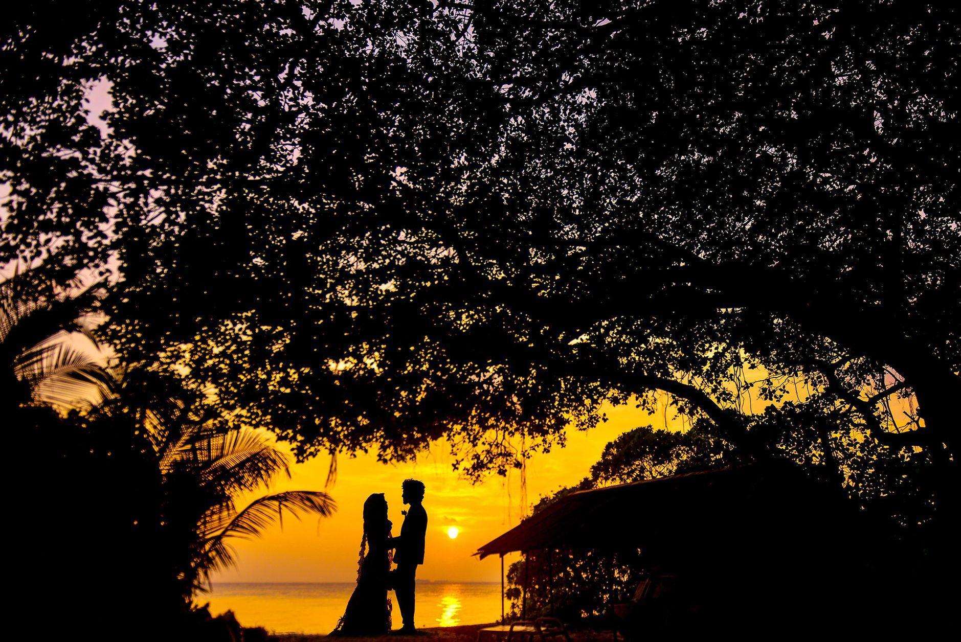 General visual reference for The First Major Breakthrough: 'Hello My Teacher' (2005). Source: Pexels / Photo by Asad Photo Maldives / Pexels License / https://www.pexels.com/photo/silhouette-photo-of-man-and-woman-during-sunset-1024961/