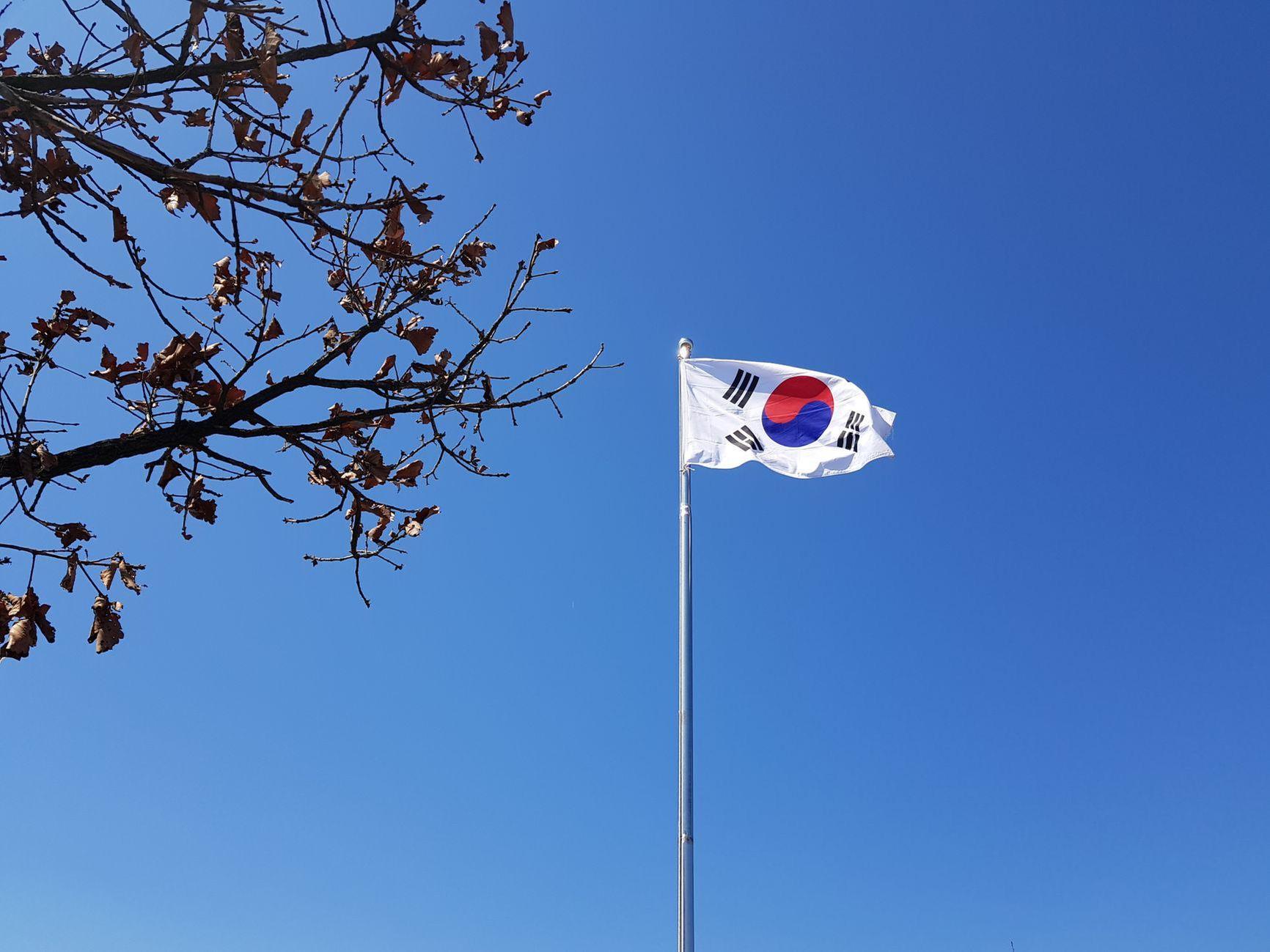 General visual reference for The Critique of Emotional Nationalism. Source: Pexels / Photo by byunghyun lee / Pexels License / https://www.pexels.com/photo/the-flag-of-south-korea-14774580/