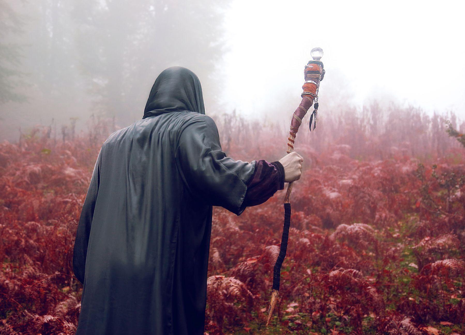 General visual reference for Signature Champions and Playstyle. Source: Pexels / Photo by Fariborz MP / Pexels License / https://www.pexels.com/photo/person-standing-in-black-satin-robe-holding-a-warlock-cane-11008470/