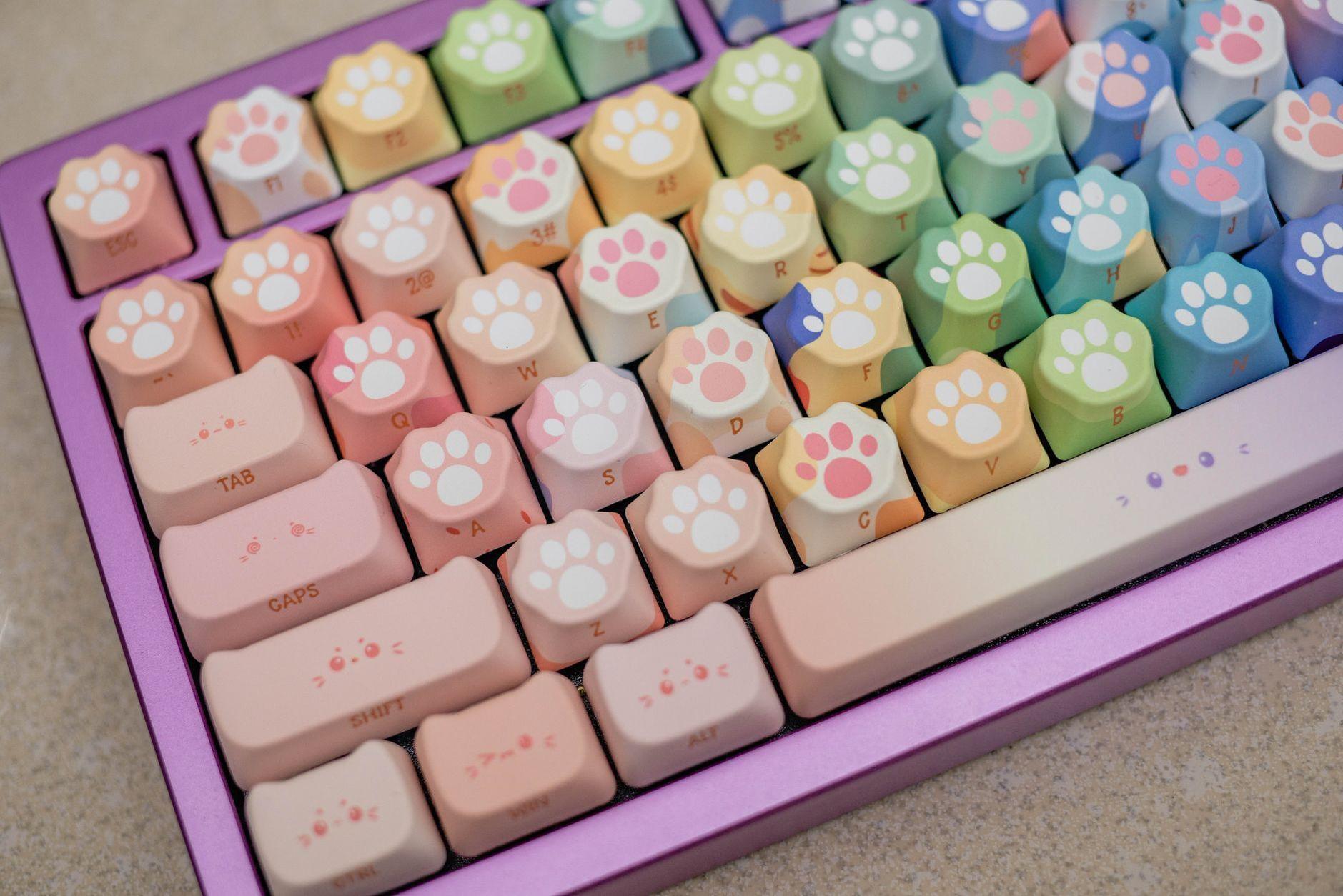 General visual reference for Merchandising and Brand Expansion. Source: Pexels / Photo by FOX ^.ᆽ.^= ∫ / Pexels License / https://www.pexels.com/photo/colorful-cat-paw-keycap-mechanical-keyboard-34204696/