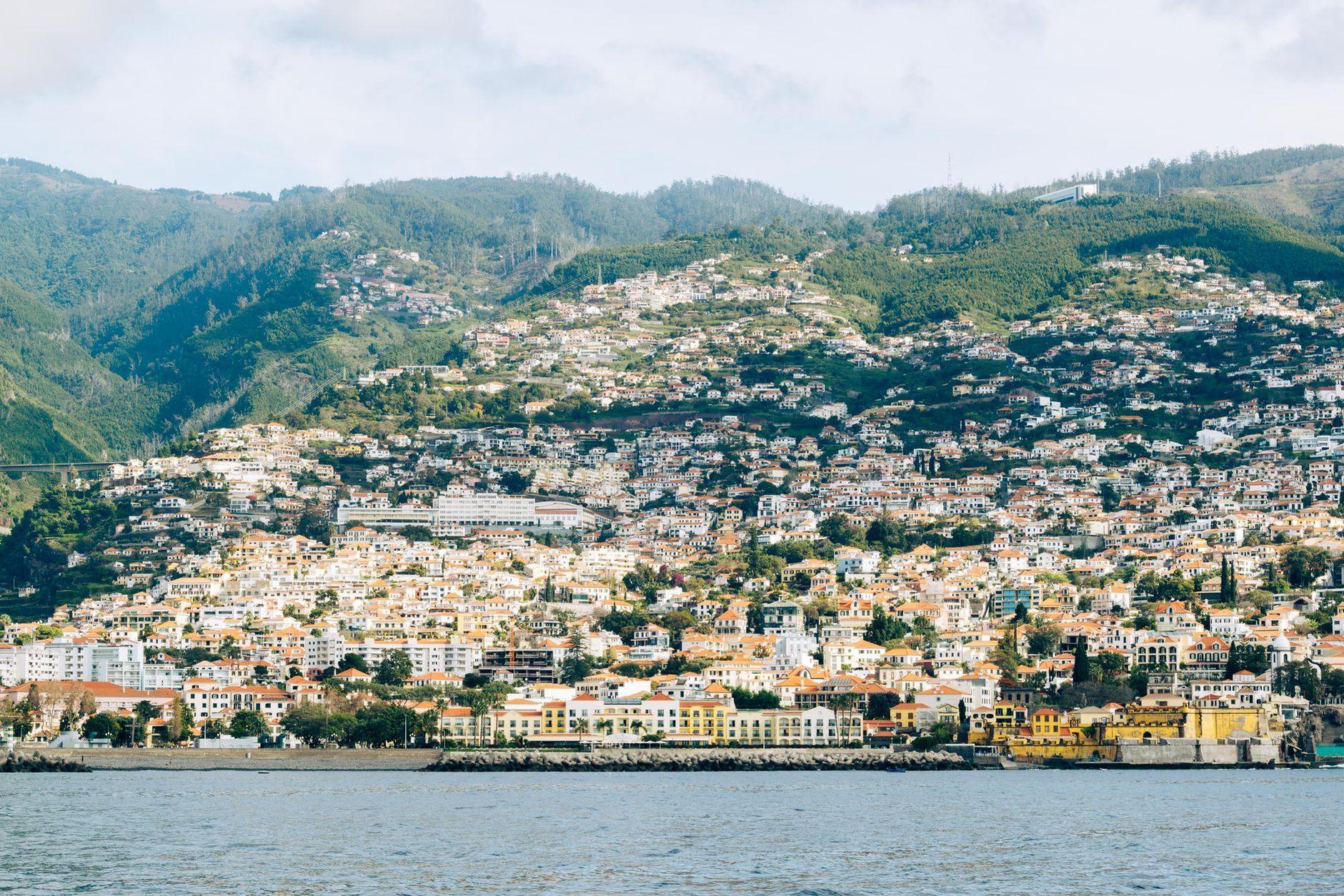 General visual reference for Humble Beginnings in Madeira. Source: Pexels / Photo by Balázs Gábor / Pexels License / https://www.pexels.com/photo/city-on-hill-on-sea-coast-20432976/