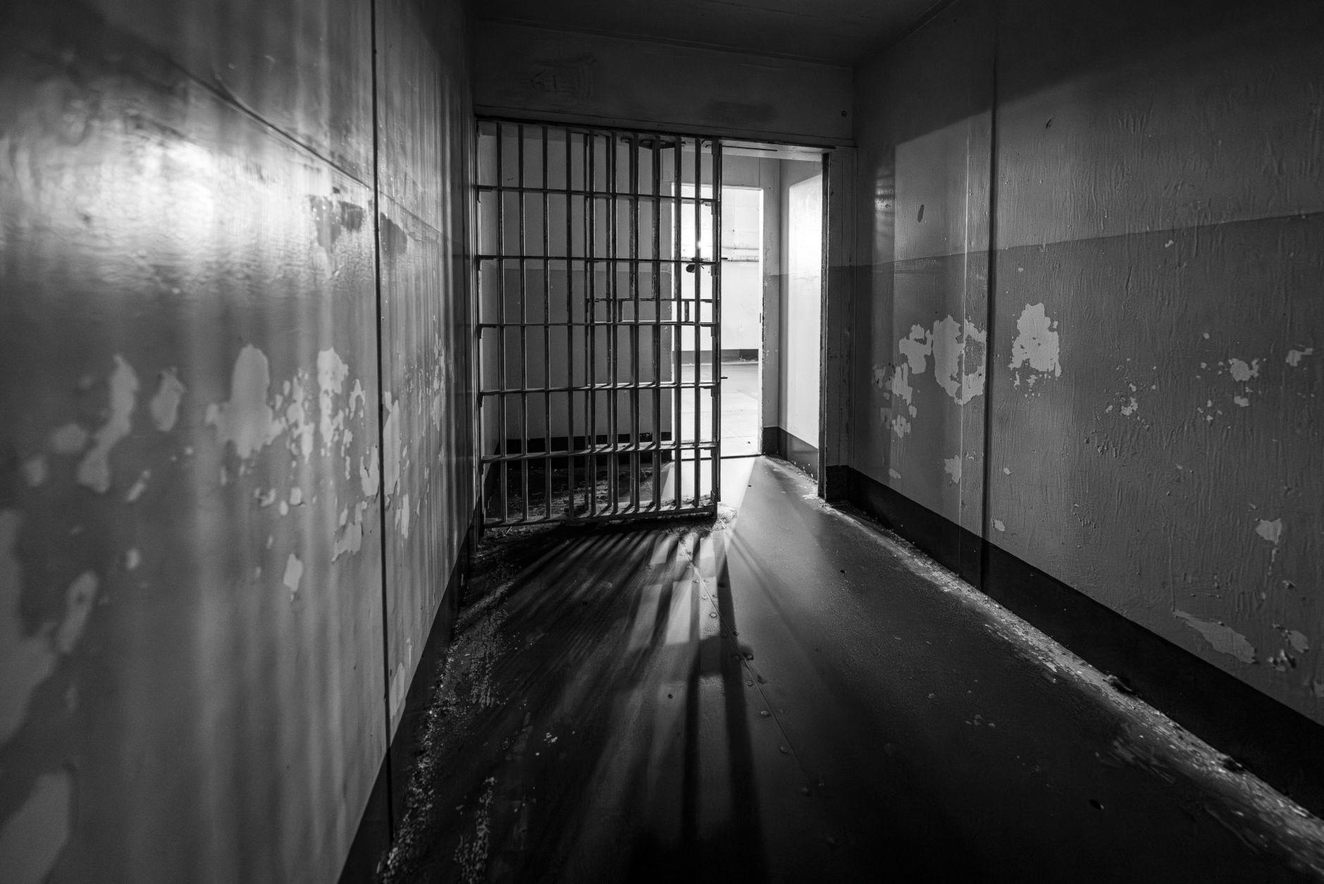 General visual reference for Analyzing the Dark Psychology of 'Prodigal Son'. Source: Pexels / Photo by Mark Stebnicki / Pexels License / https://www.pexels.com/photo/grille-in-alcatraz-prison-17765365/