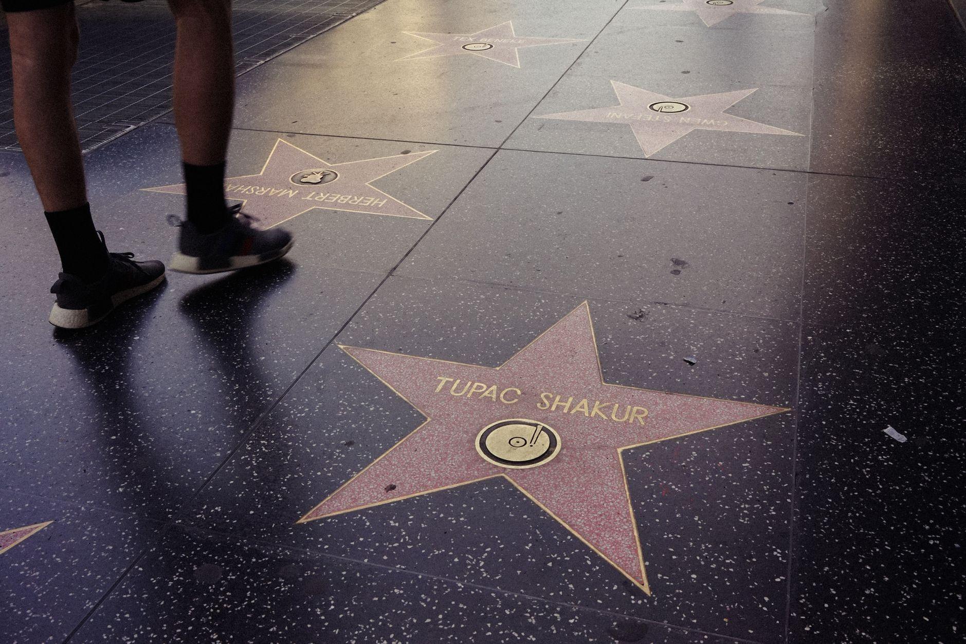 General visual reference for Industry Reputation and Legacy. Source: Pexels / Photo by Darya Sannikova / Pexels License / https://www.pexels.com/photo/hollywood-walk-of-fame-stars-perspective-view-30151700/