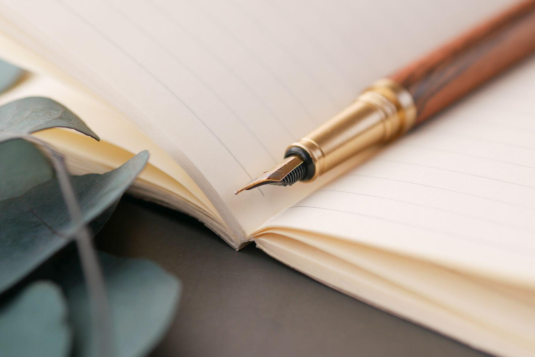 General visual reference for Conclusion and Future Projects. Source: Pexels / Photo by Towfiqu barbhuiya / Pexels License / https://www.pexels.com/photo/close-up-shot-of-a-pen-on-a-notebook-11154571/