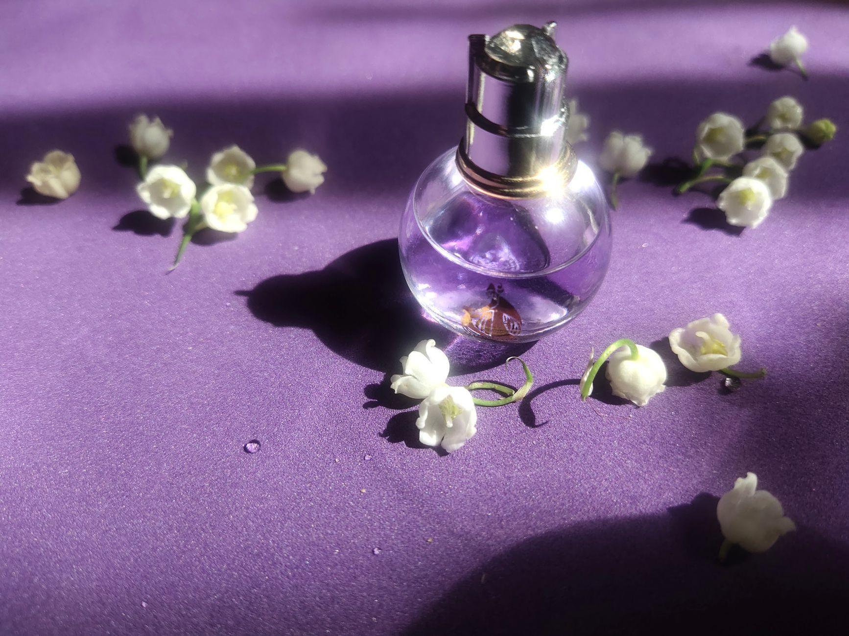 General visual reference for The Olfactory Concept and Visual Storytelling. Source: Pexels / Photo by Марина Бондарчук / Pexels License / https://www.pexels.com/photo/elegant-perfume-bottle-with-lily-of-the-valley-flowers-35977681/