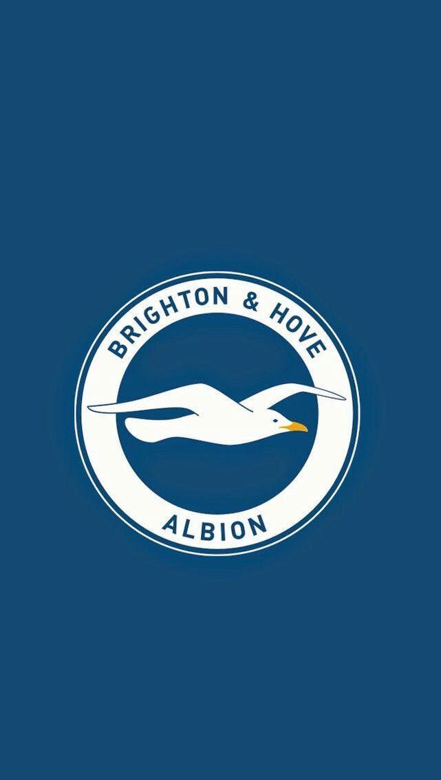 General visual reference for Taking the Helm at Brighton & Hove Albion. Source: Google Images / kr.pinterest.com / Google usage-rights filter; verify source license / https://kr.pinterest.com/pin/991917886683401994/