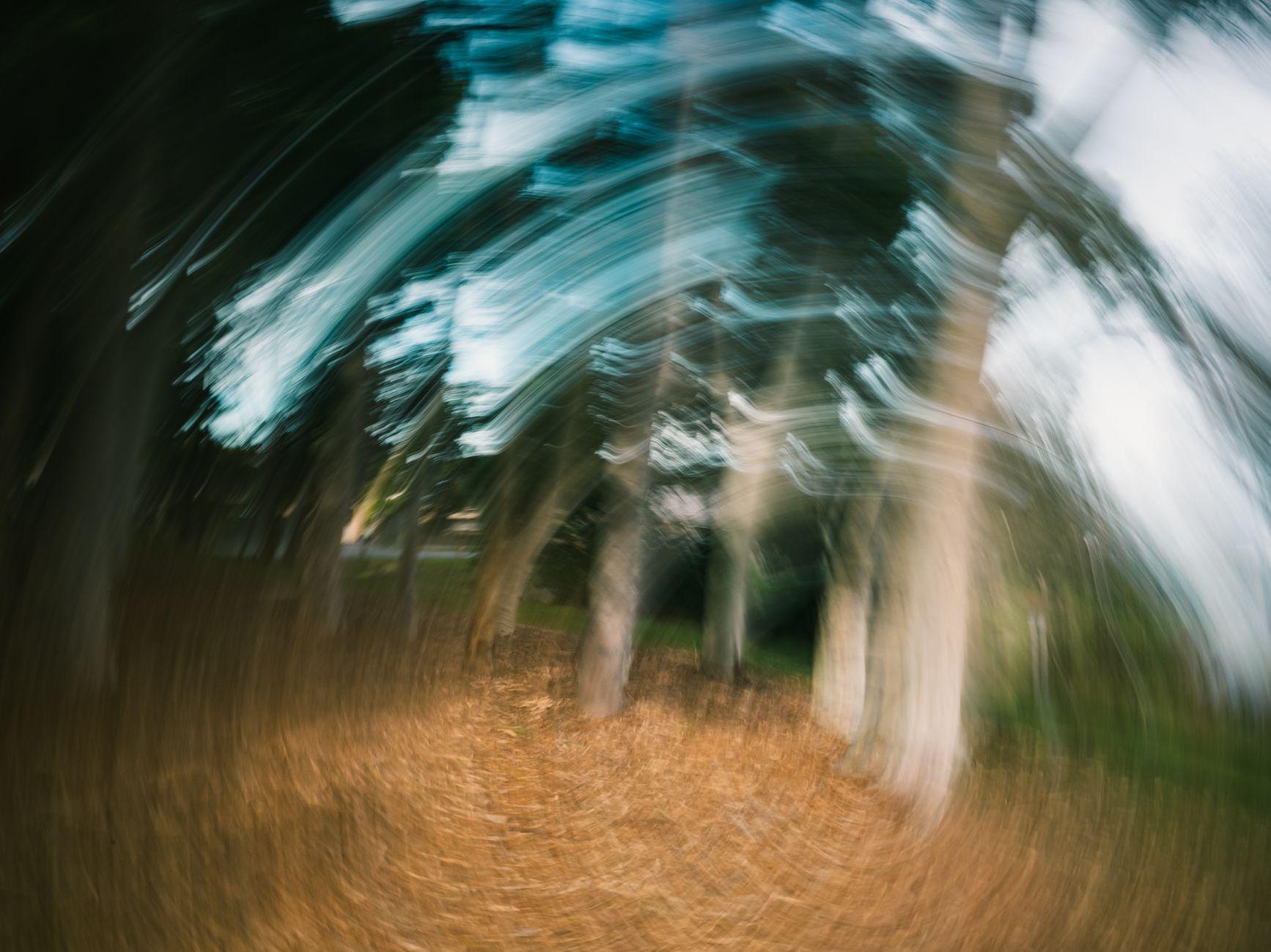 General visual reference for Primary Symptom: Acute Vertigo. Source: Pexels / Photo by Sonny Sixteen / Pexels License / https://www.pexels.com/photo/whirling-trees-in-forest-17242908/