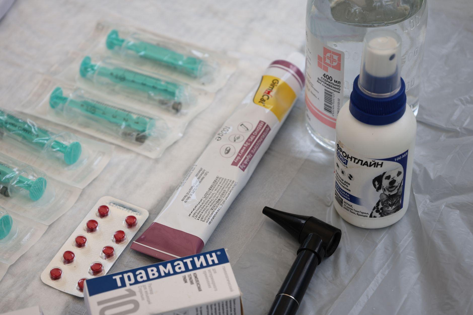 General visual reference for Diagnostic Criteria. Source: Pexels / Photo by Tahir Xəlfəquliyev / Pexels License / https://www.pexels.com/photo/flat-lay-of-veterinary-medical-supplies-on-table-33394245/