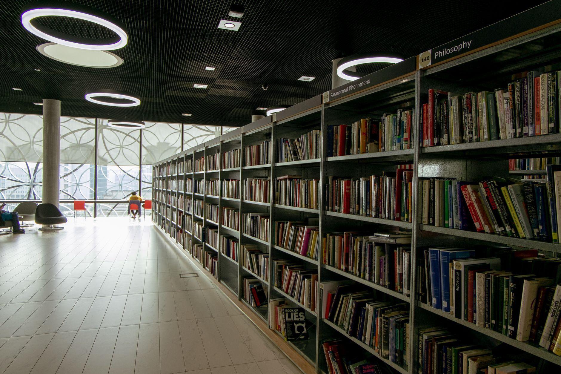General visual reference for Linguistic Diversity and the Educational Landscape. Source: Pexels / Photo by Olga Lioncat / Pexels License / https://www.pexels.com/photo/interior-of-library-7244576/