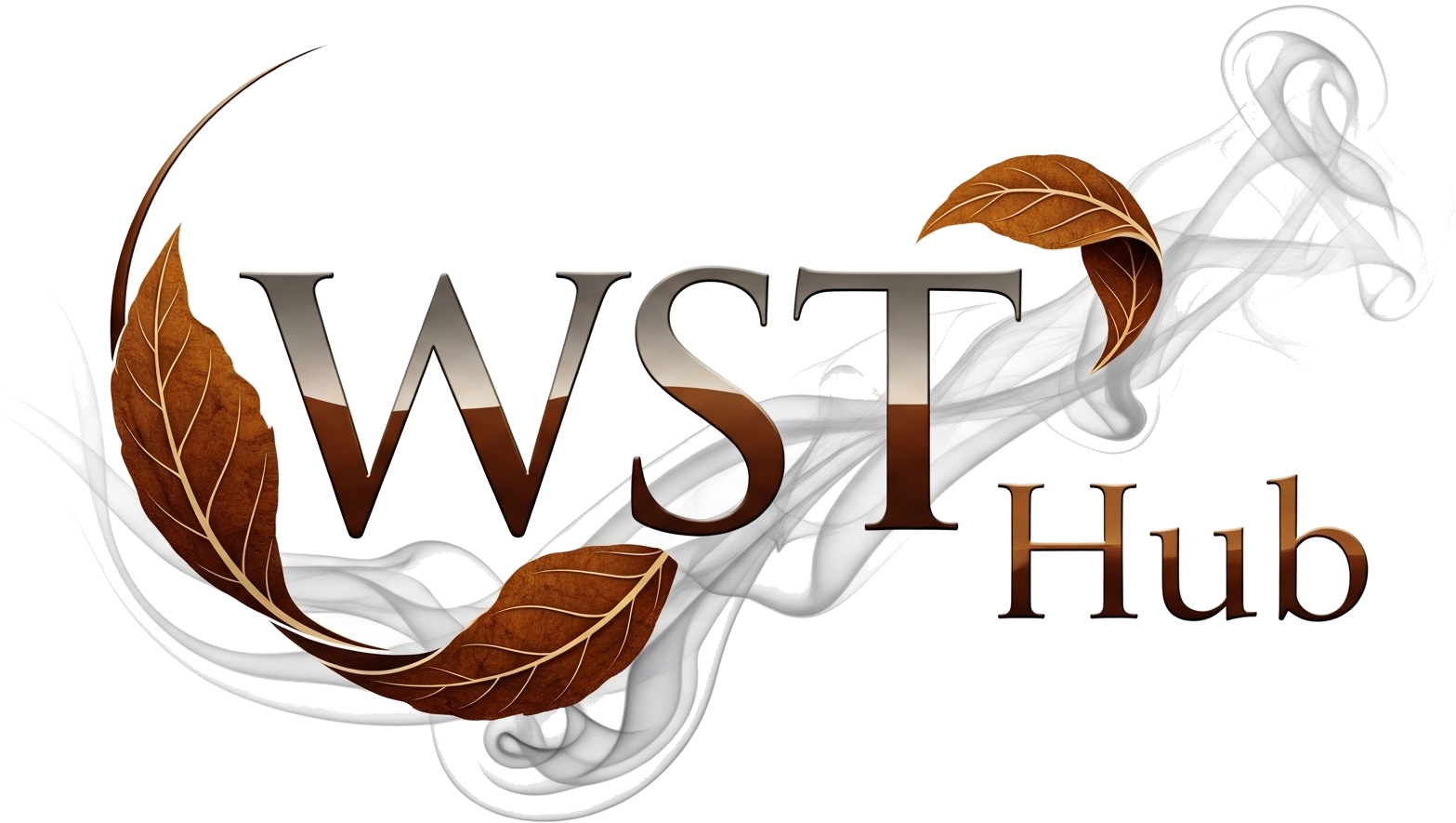 WST Hub Logo