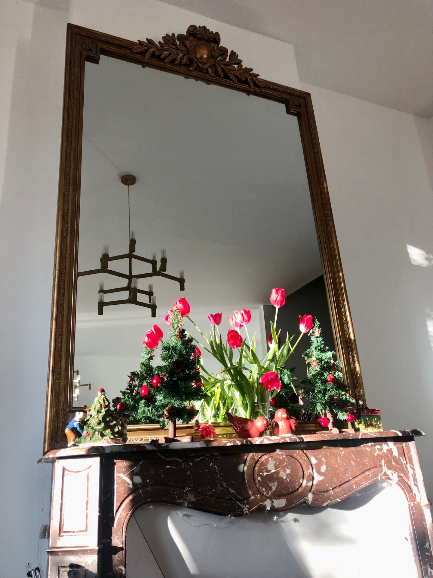 Chambre à louer