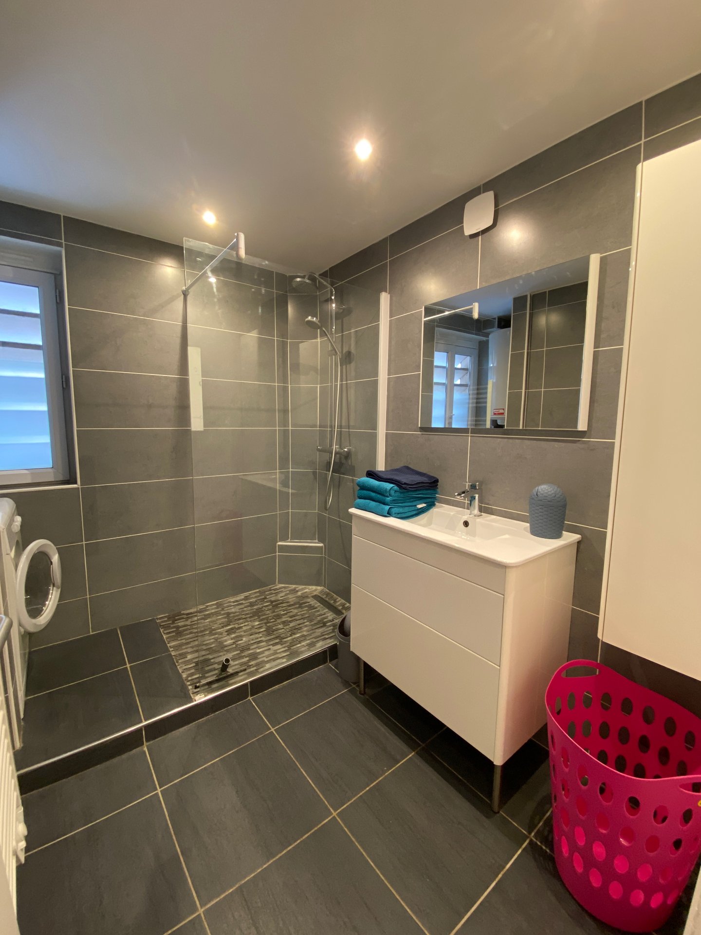 Appartement T4 meublé Grenoble - 3 chambres