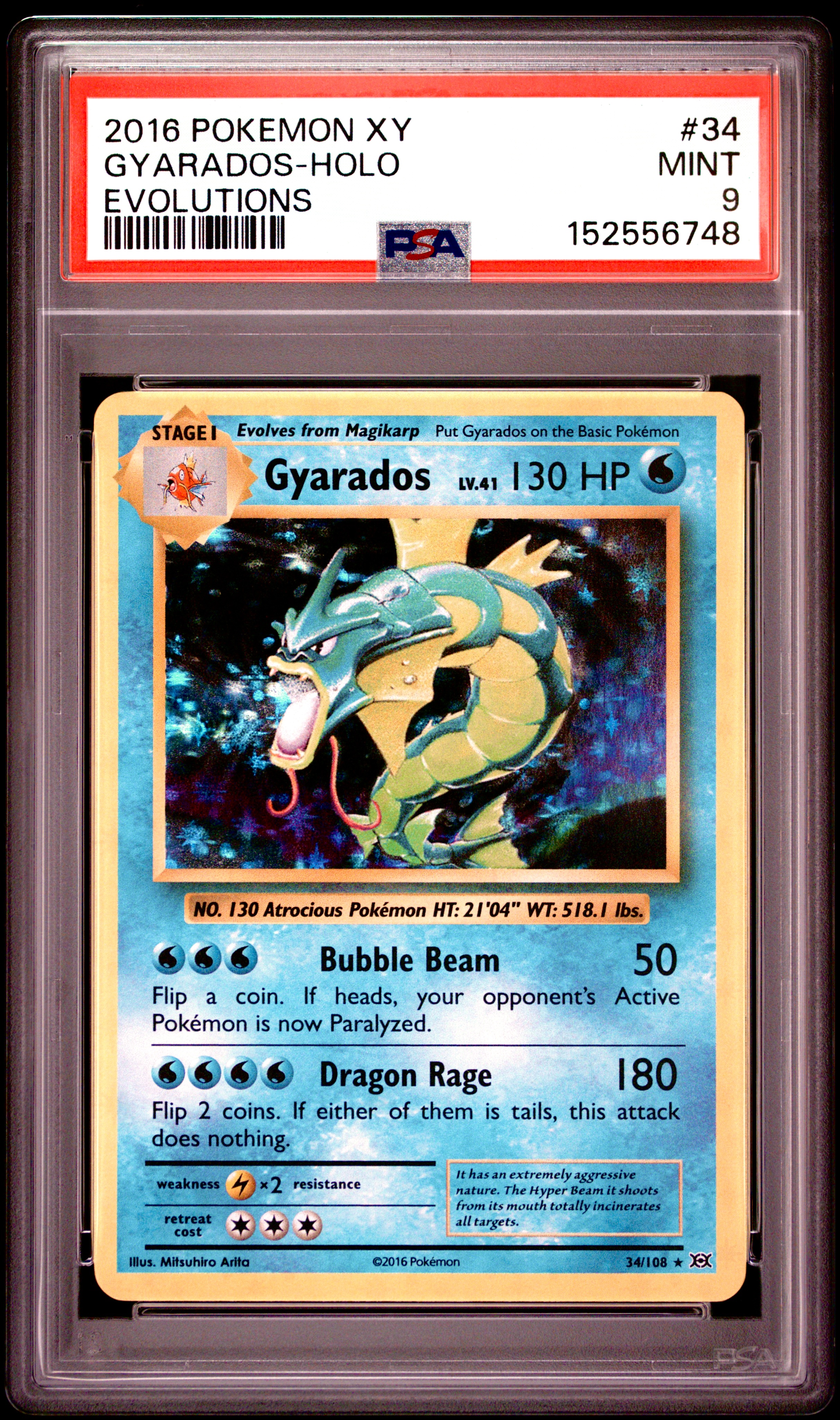 GYARADOS-HOLO