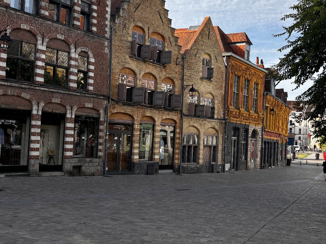 Authentic Old Lille Walking Experience