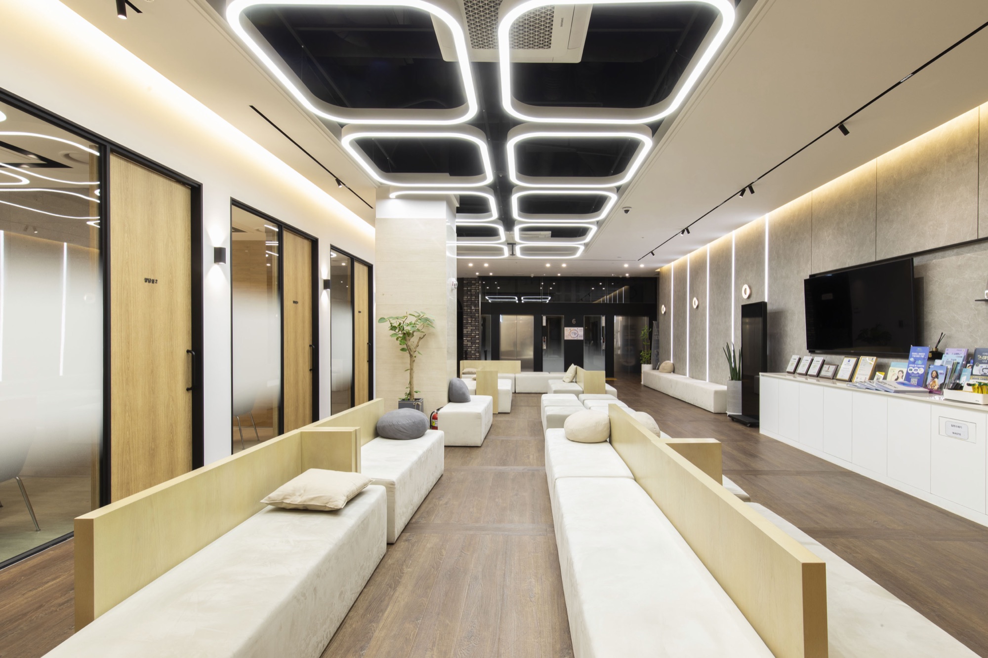 Waiting lounge with a wall-mounted screen and planting