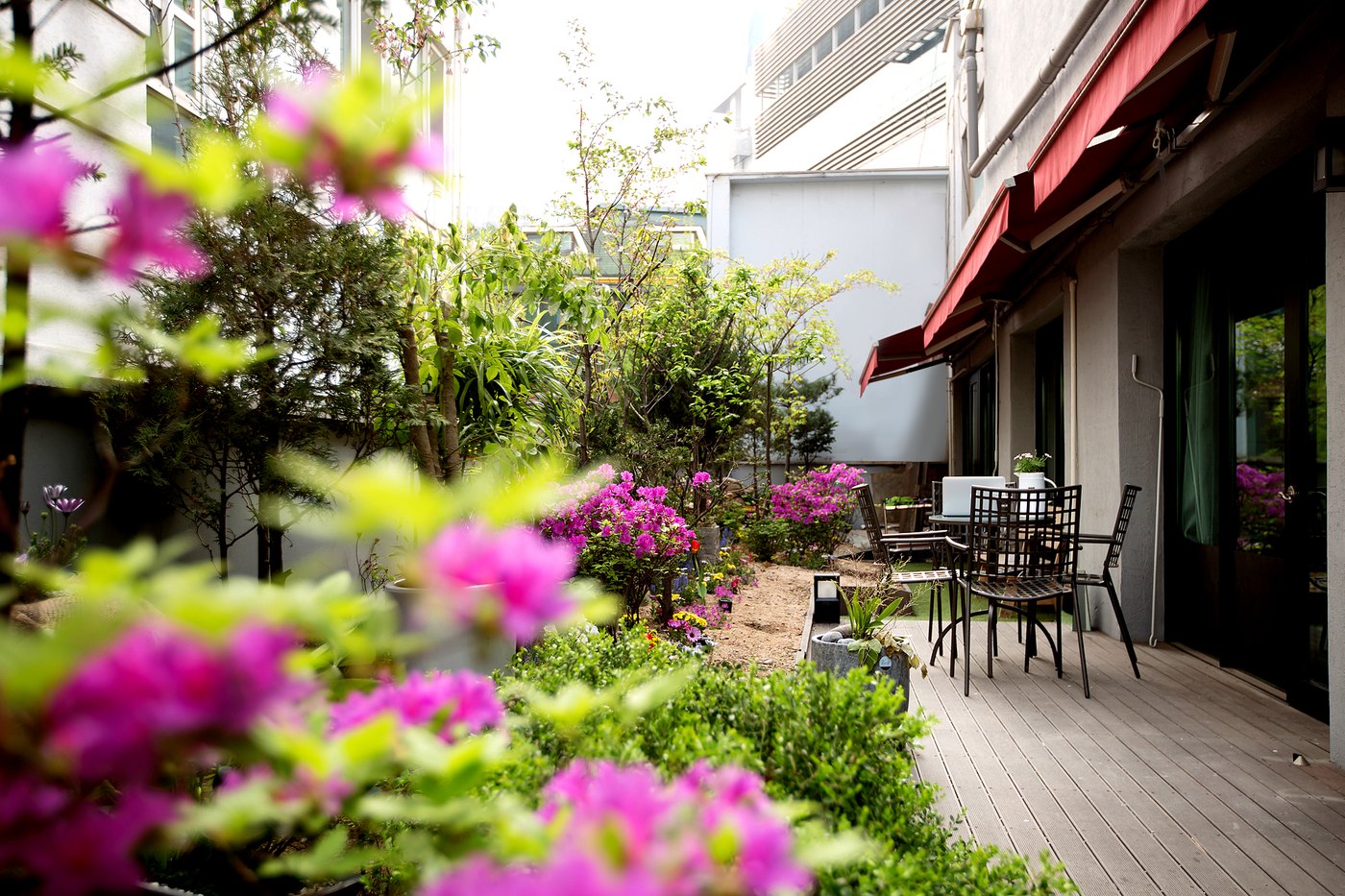 Outdoor terrace with flowering planters and seating beside the clinic