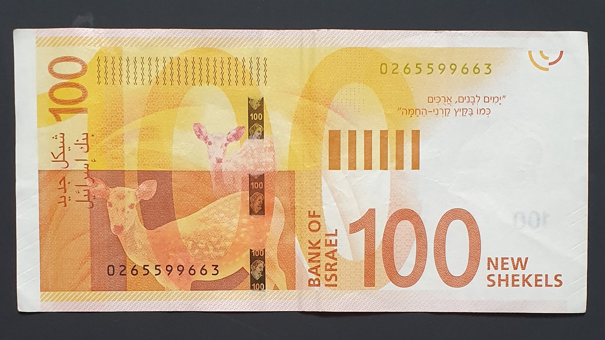 100 New shekel back