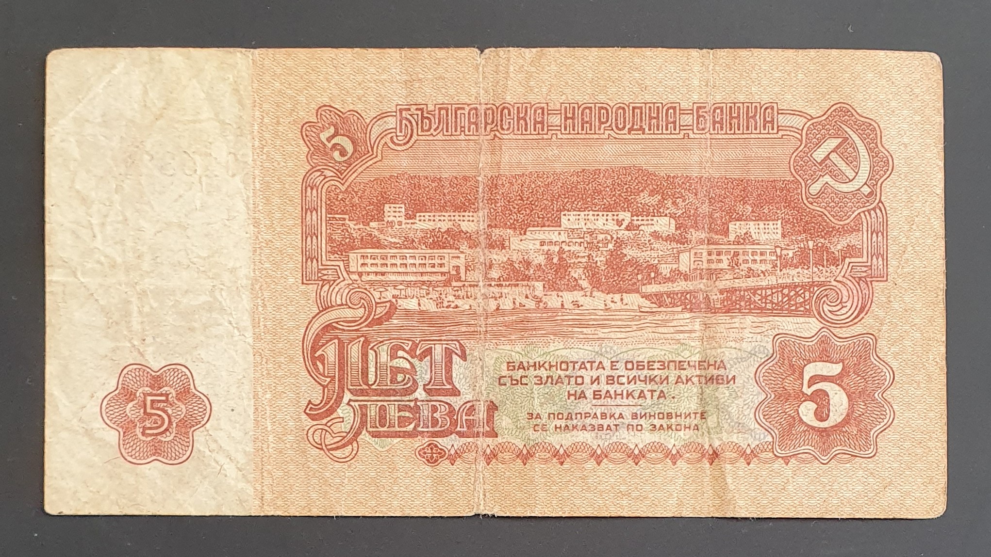 5 Lev back