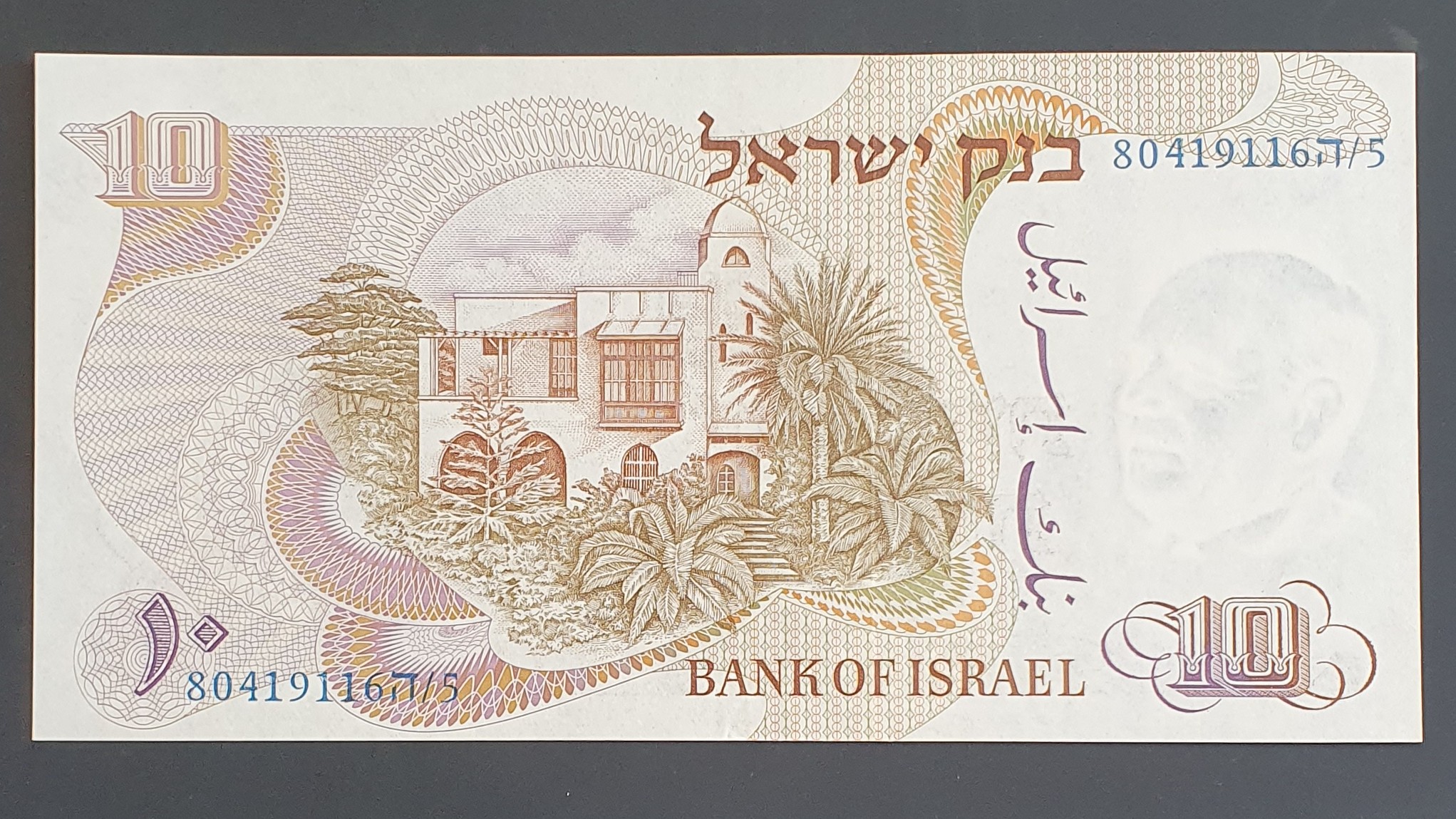 10 Lira back