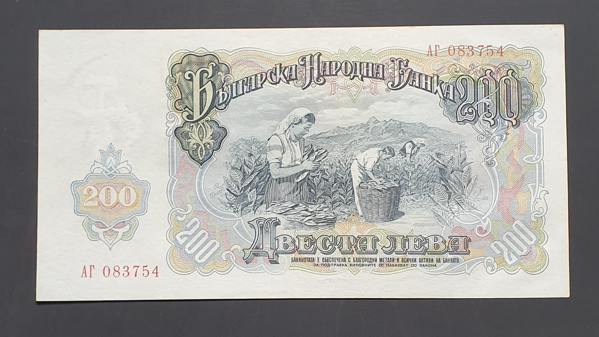 200 Lev back