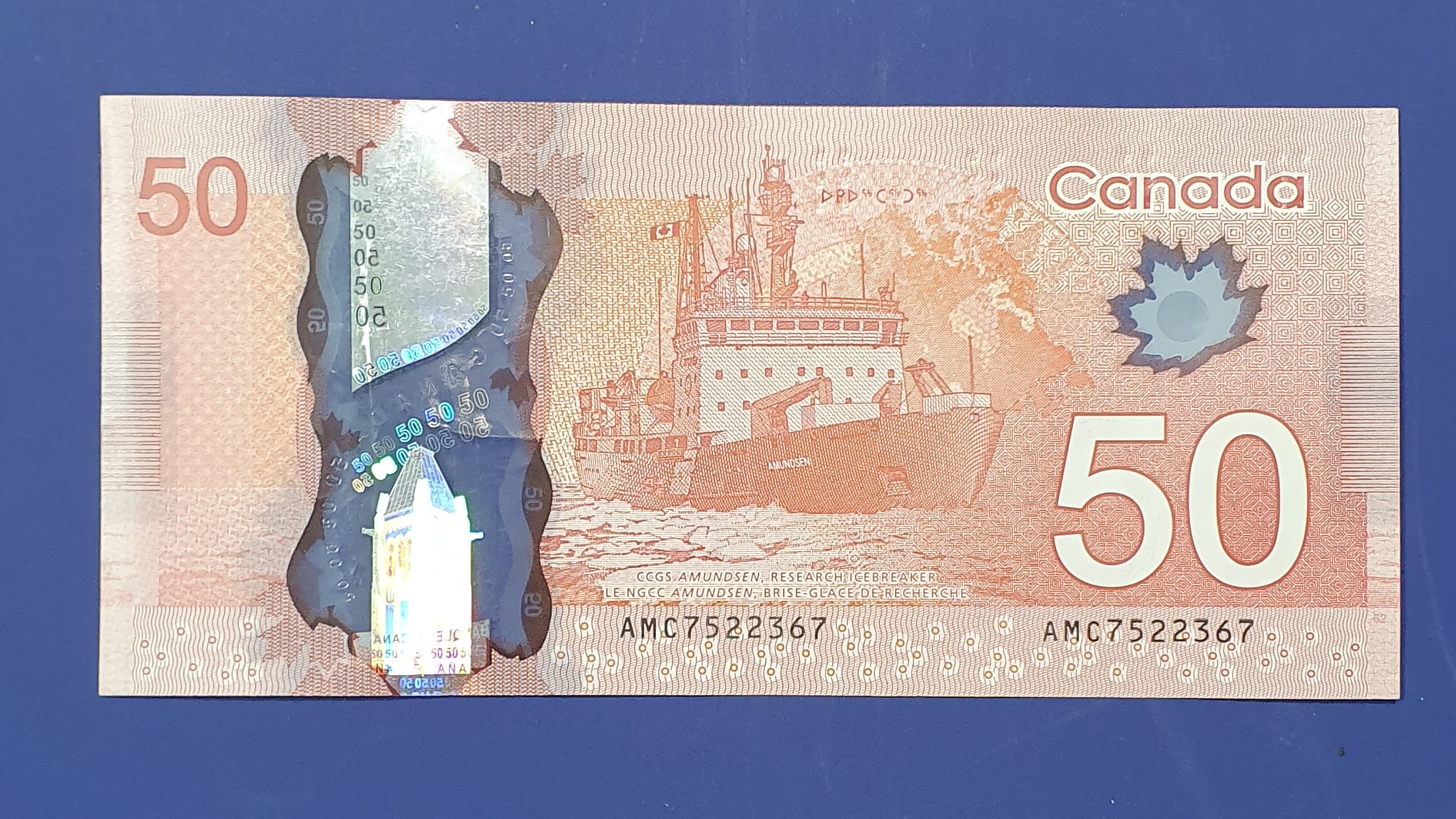 50 Dollar back