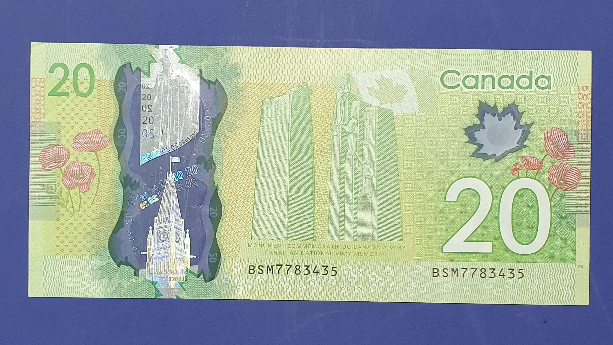 20 Dollar back