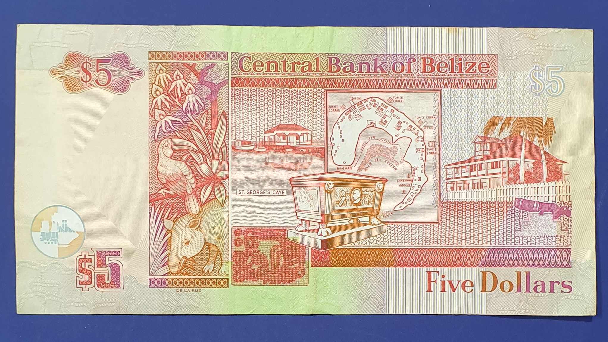 5 Dollar back