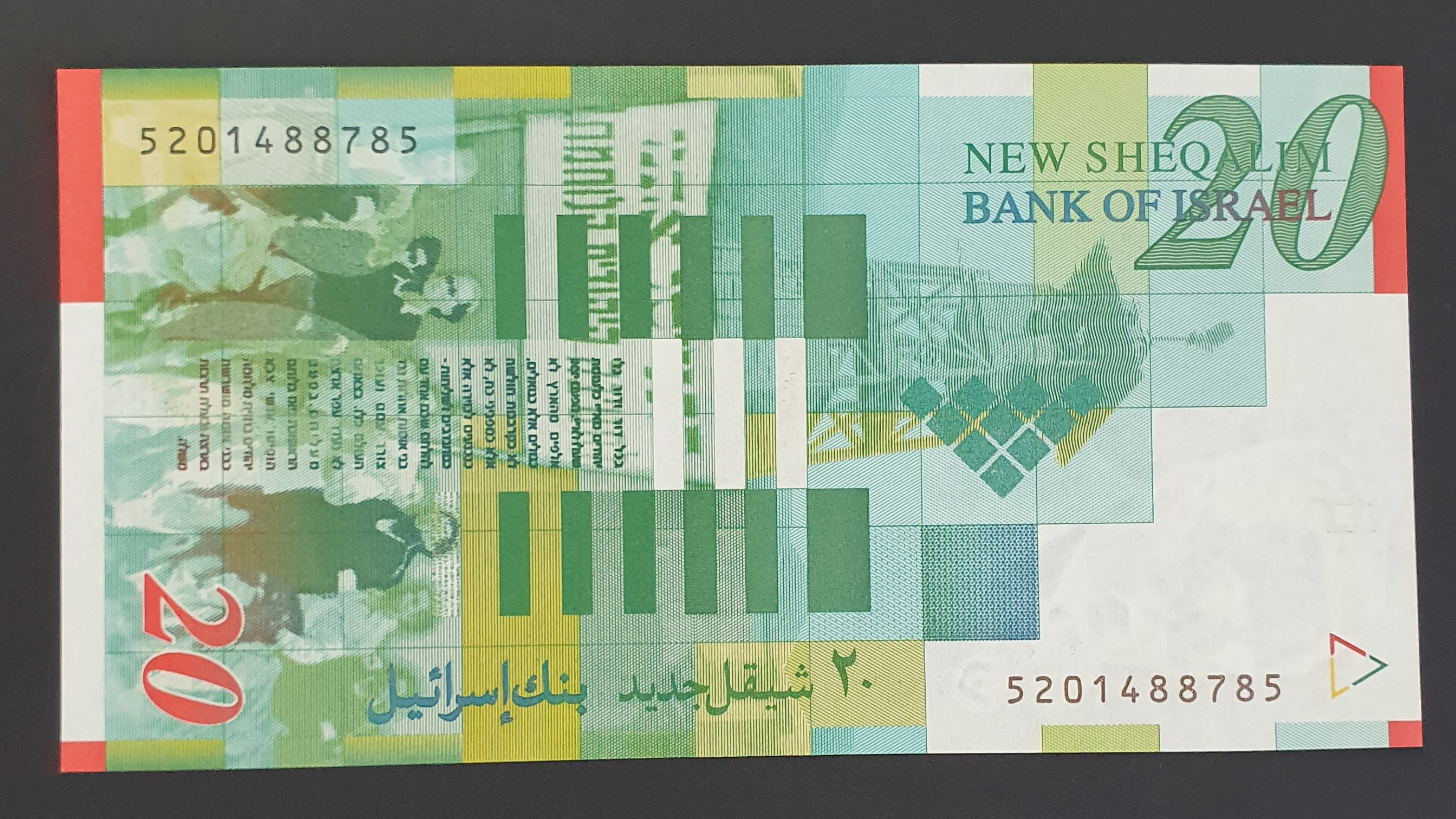 20 New shekel back