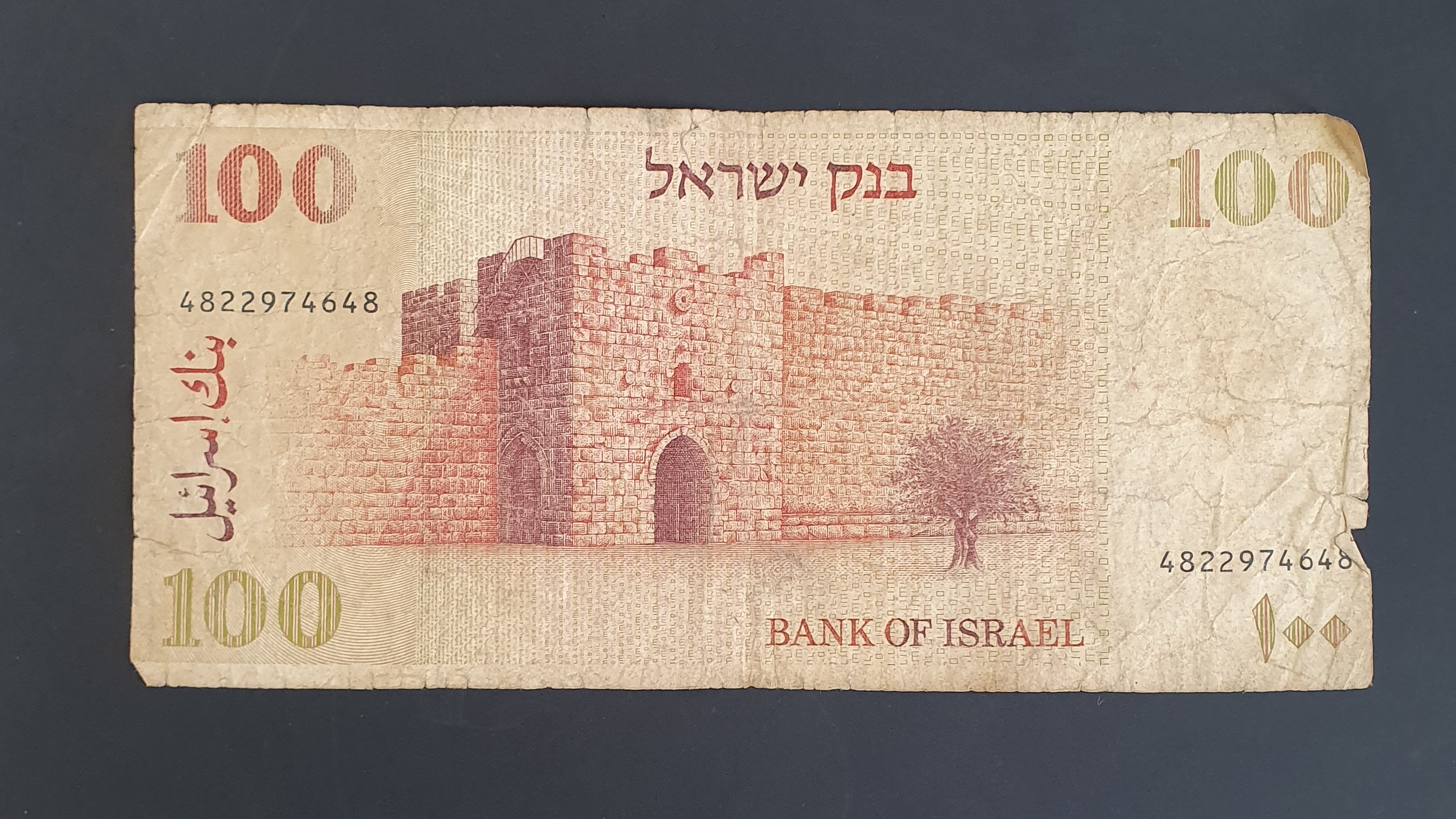 100 Shekel back