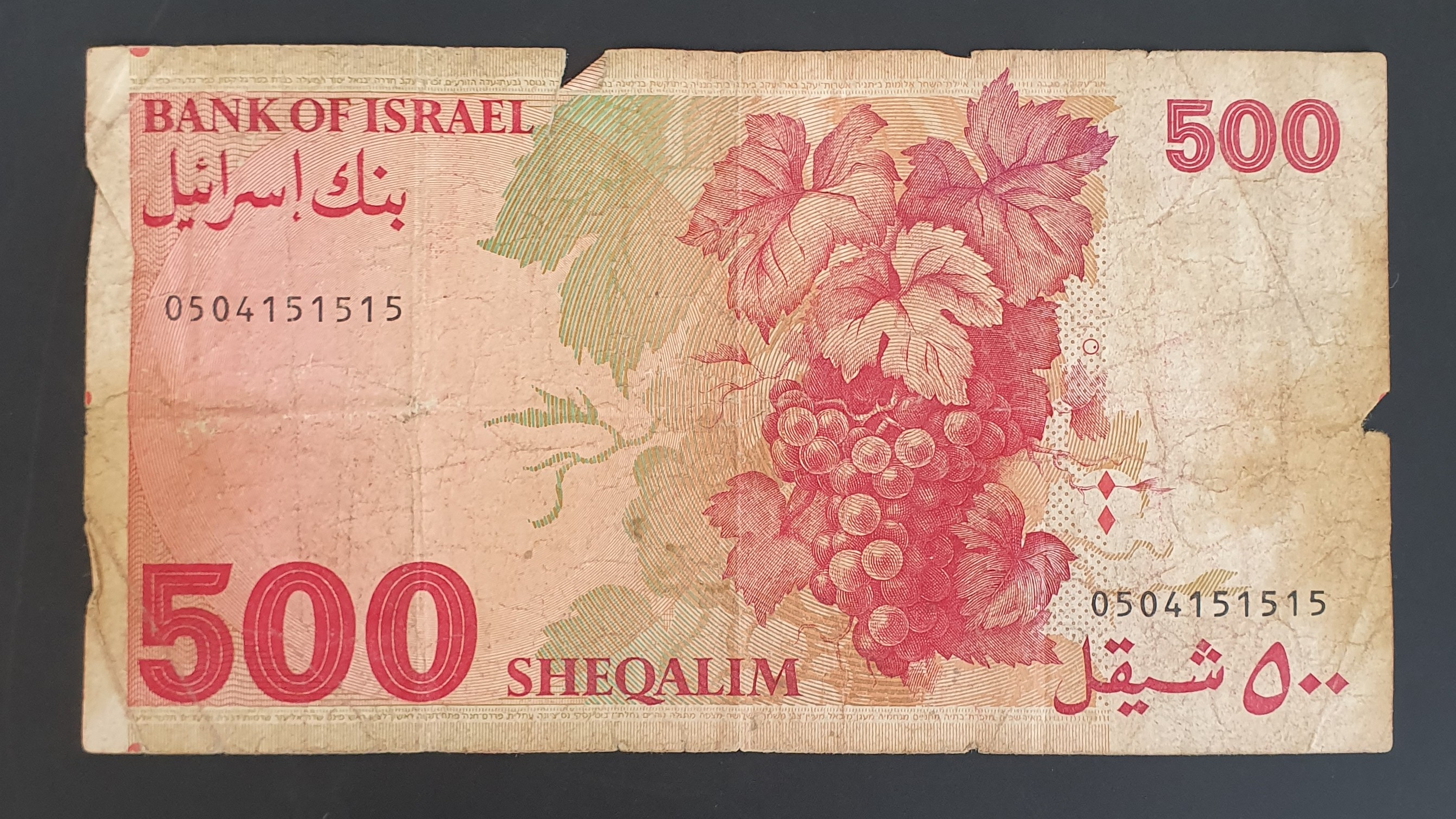 500 Shekel back