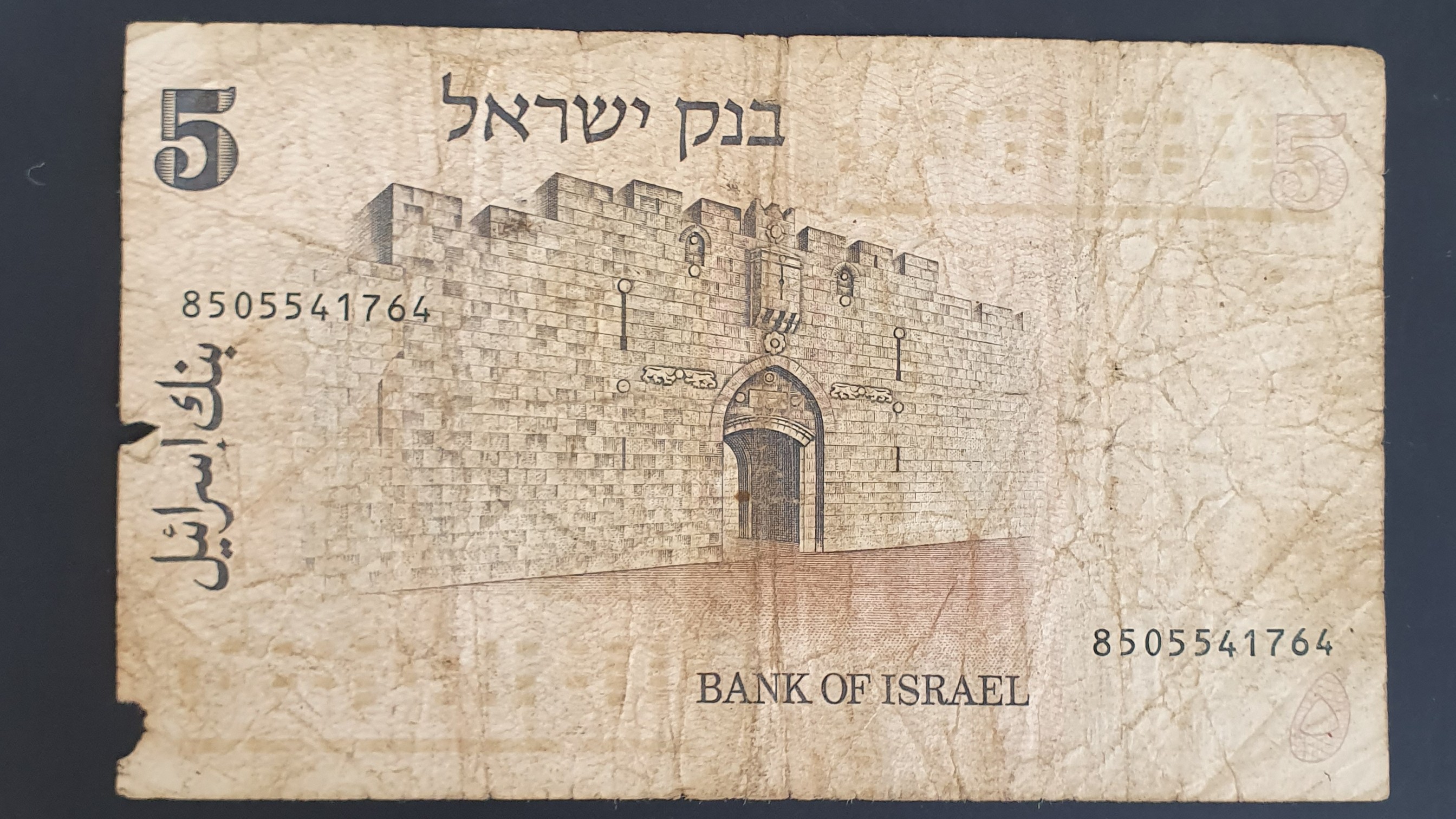 5 Lira back