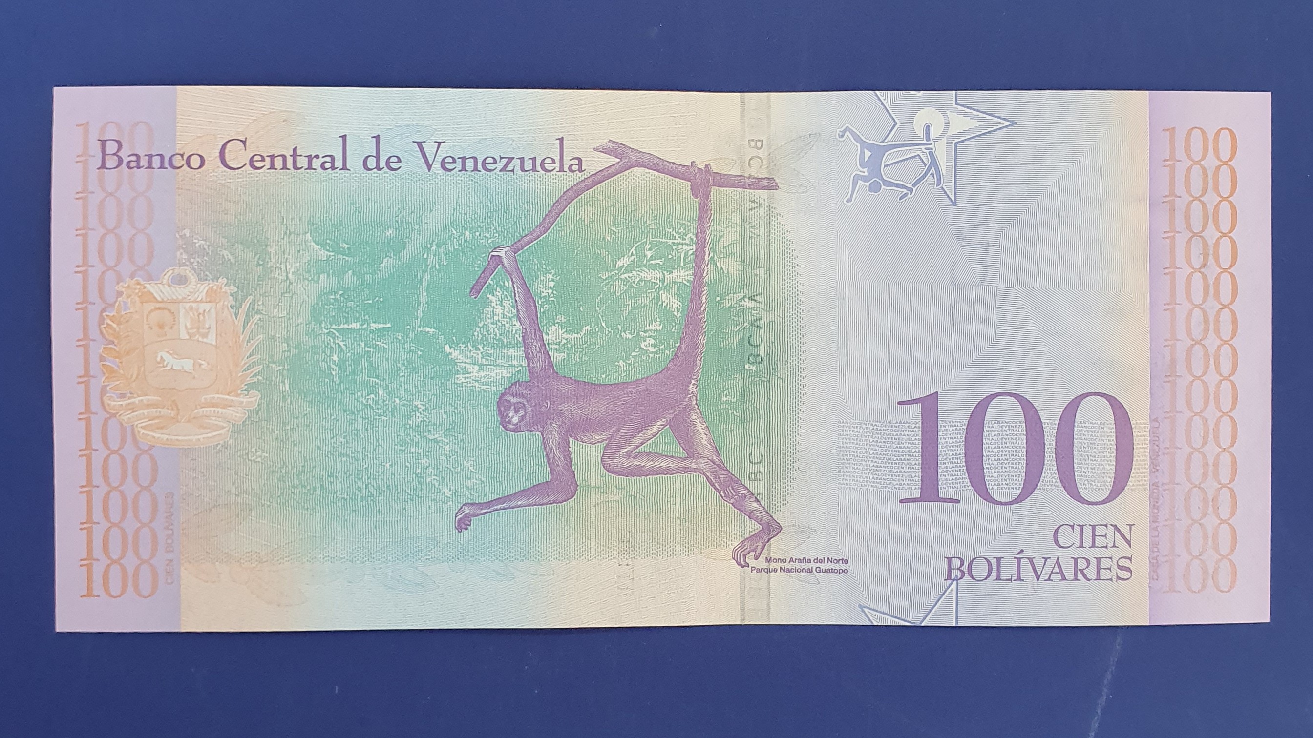 100 Bolivar back