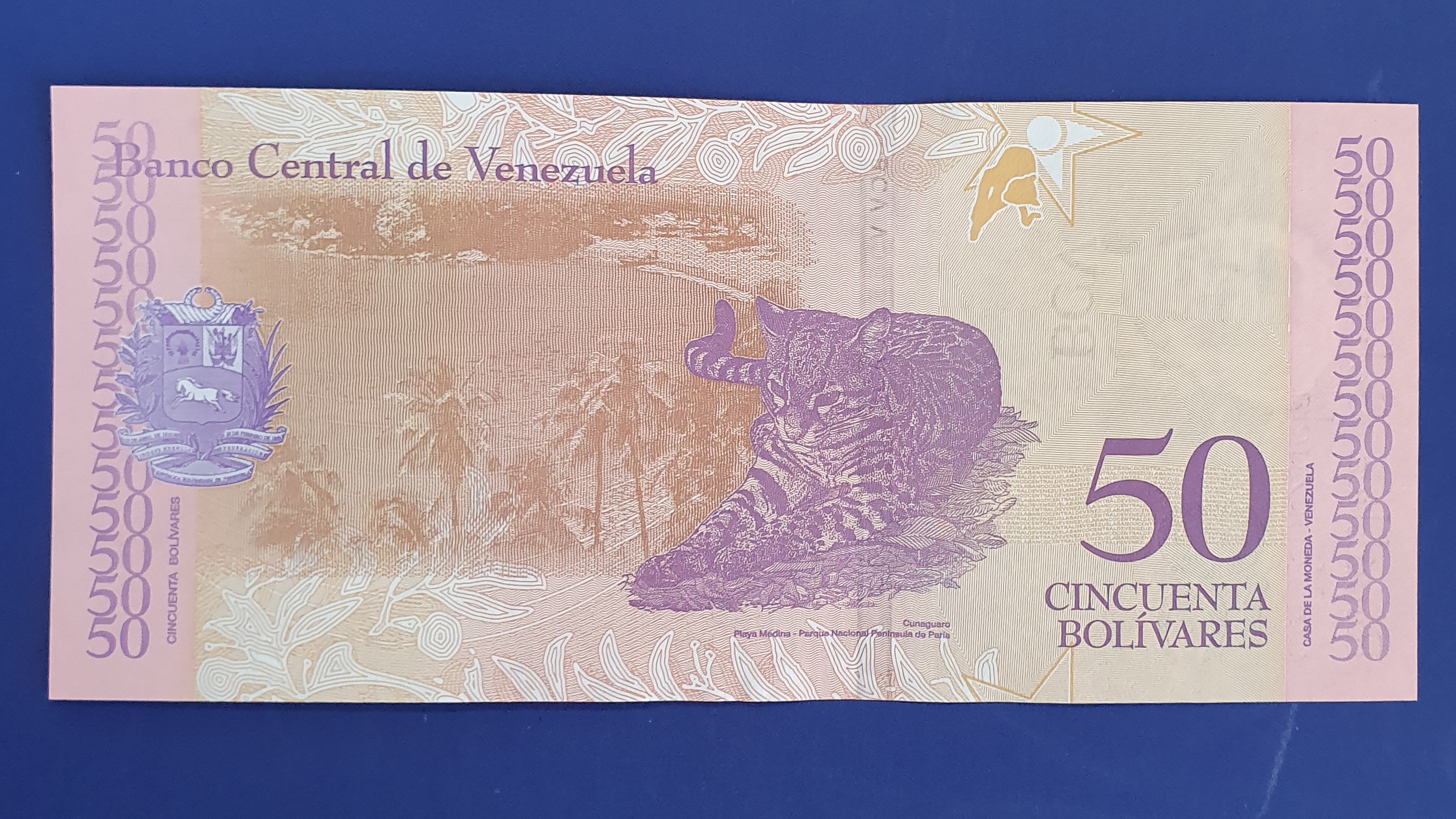 50 Bolivar back