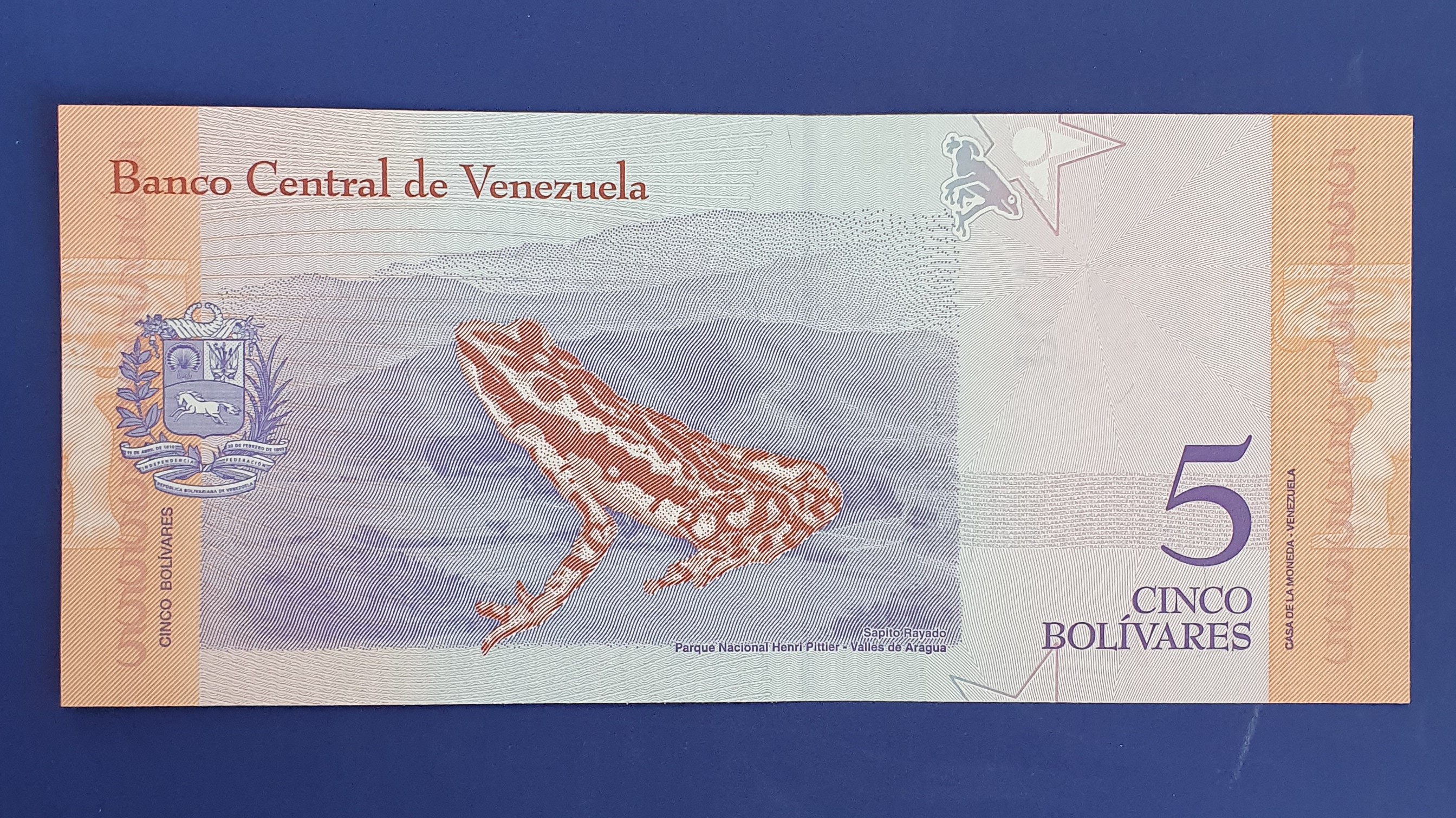 5 Bolivar back
